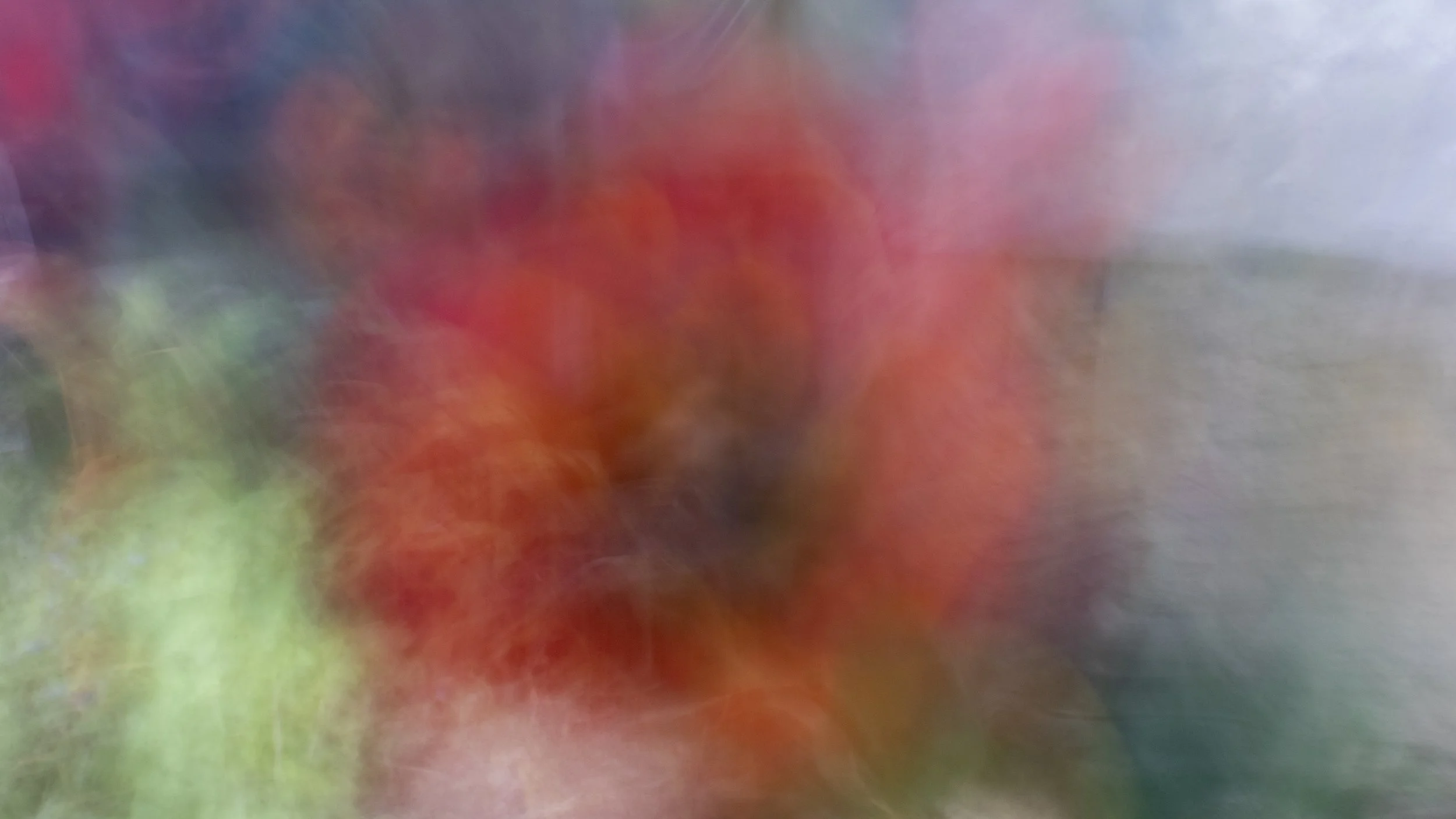 Spring_shoot_1 Digit Serial Number_042526_1.JPG