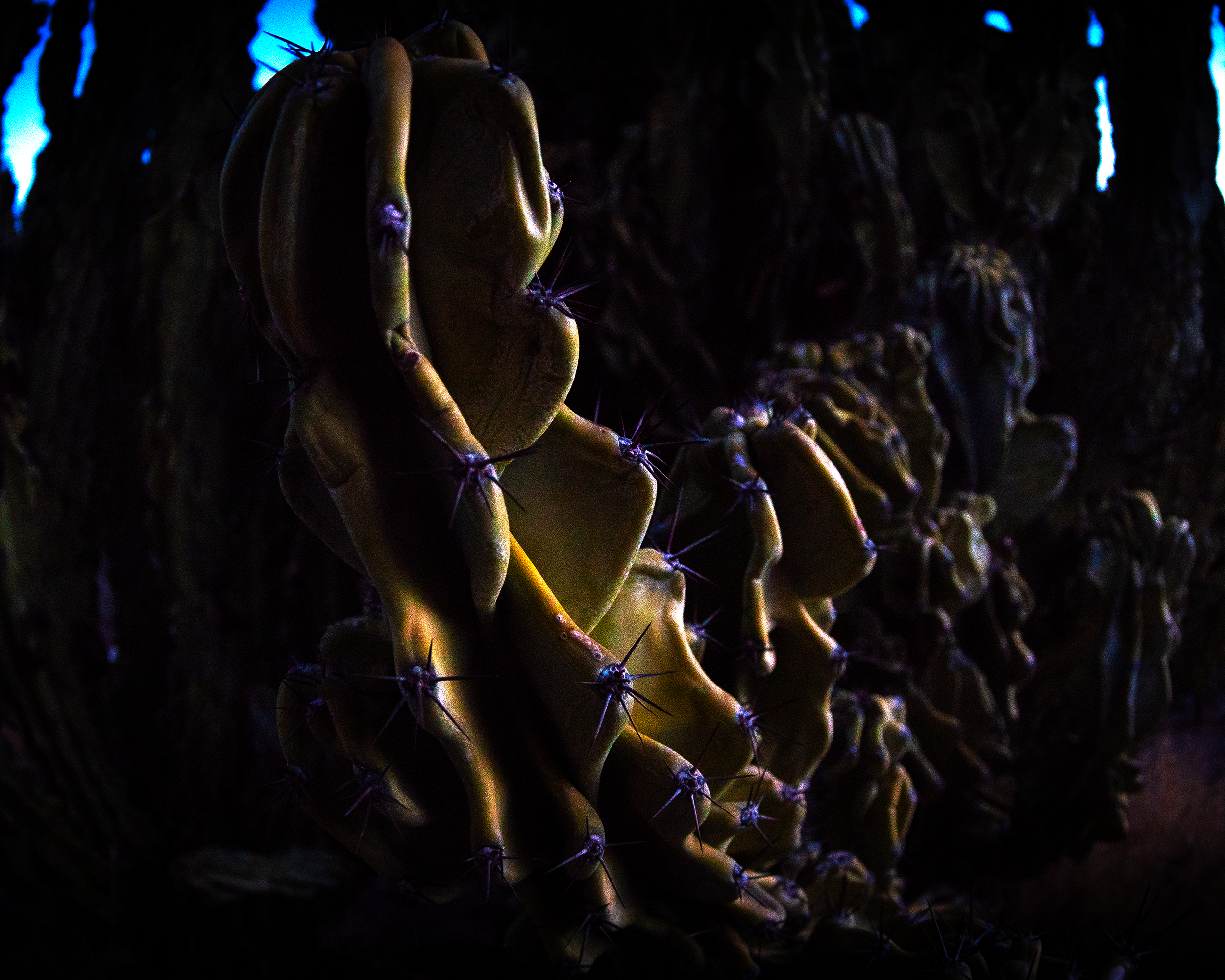 10_06_24 PRINT 2.png