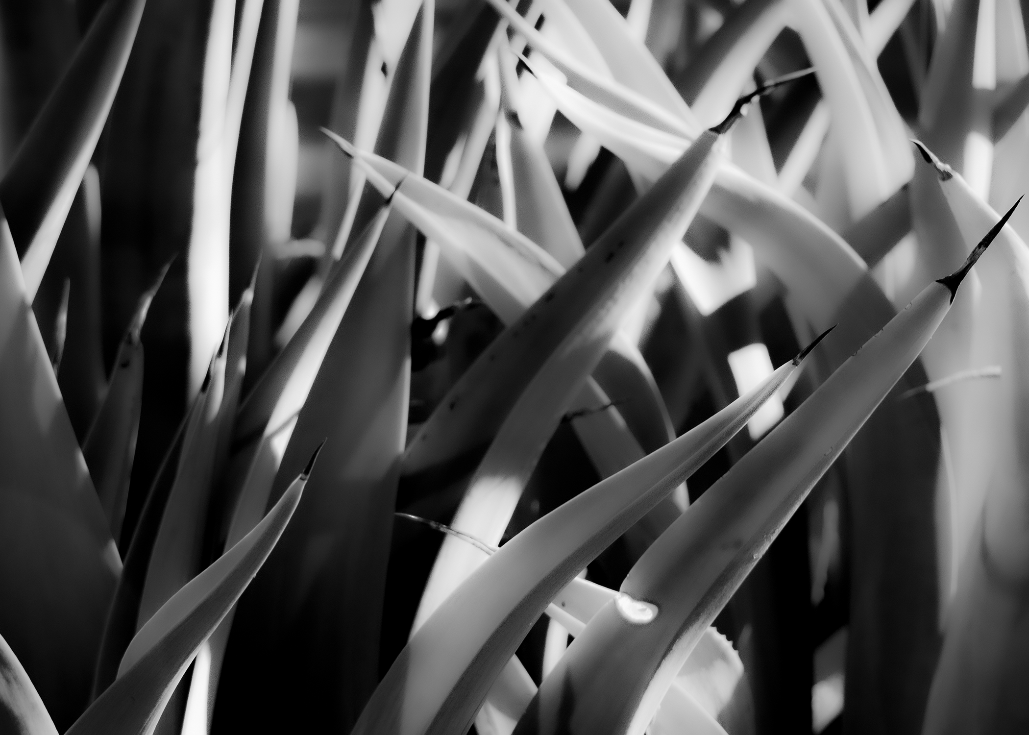 10_06_24 PRINT 4.png