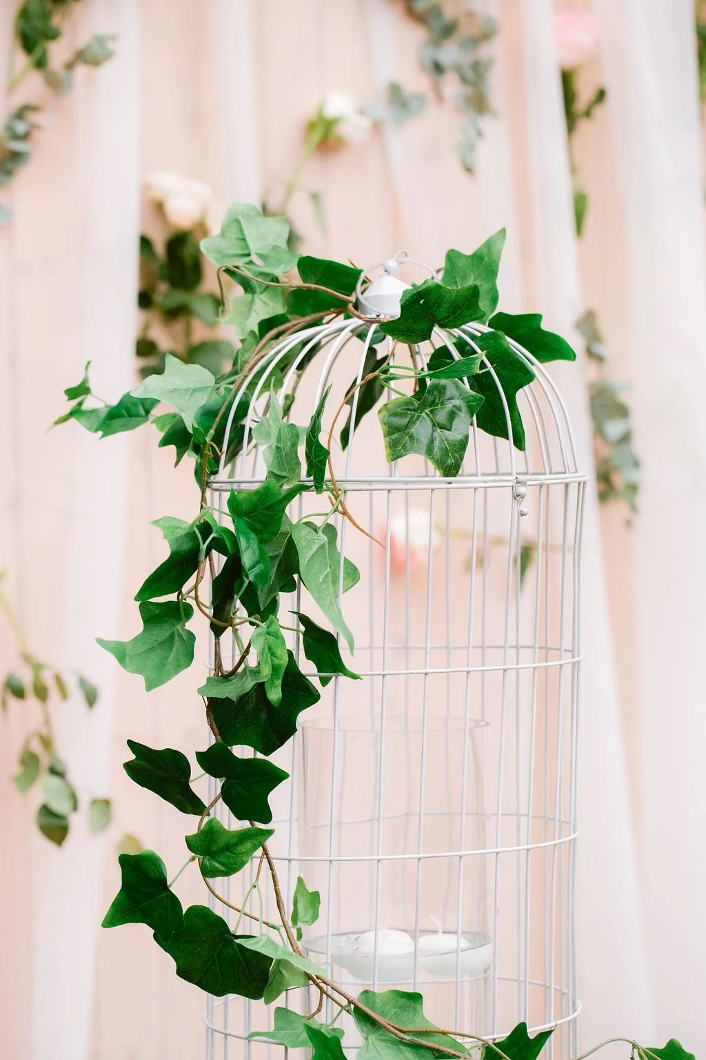 A white birdcage with green ivy climbing on it, set against a soft pink and cream background with floral decorations.
