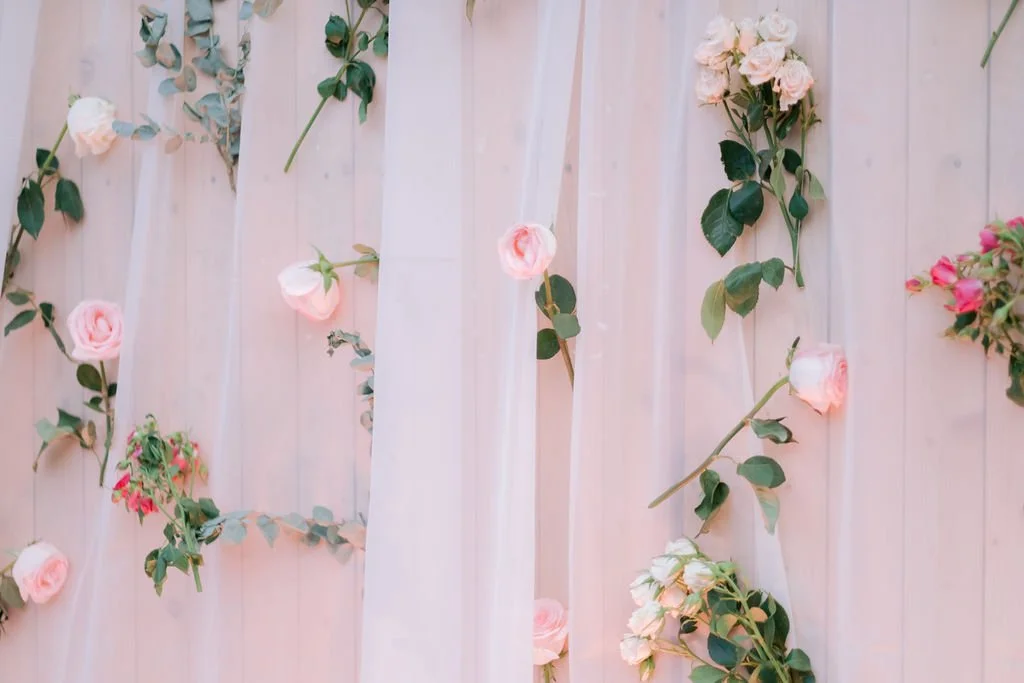 Pink and white roses with green leaves hanging on a light pink wooden wall with white sheer curtains.