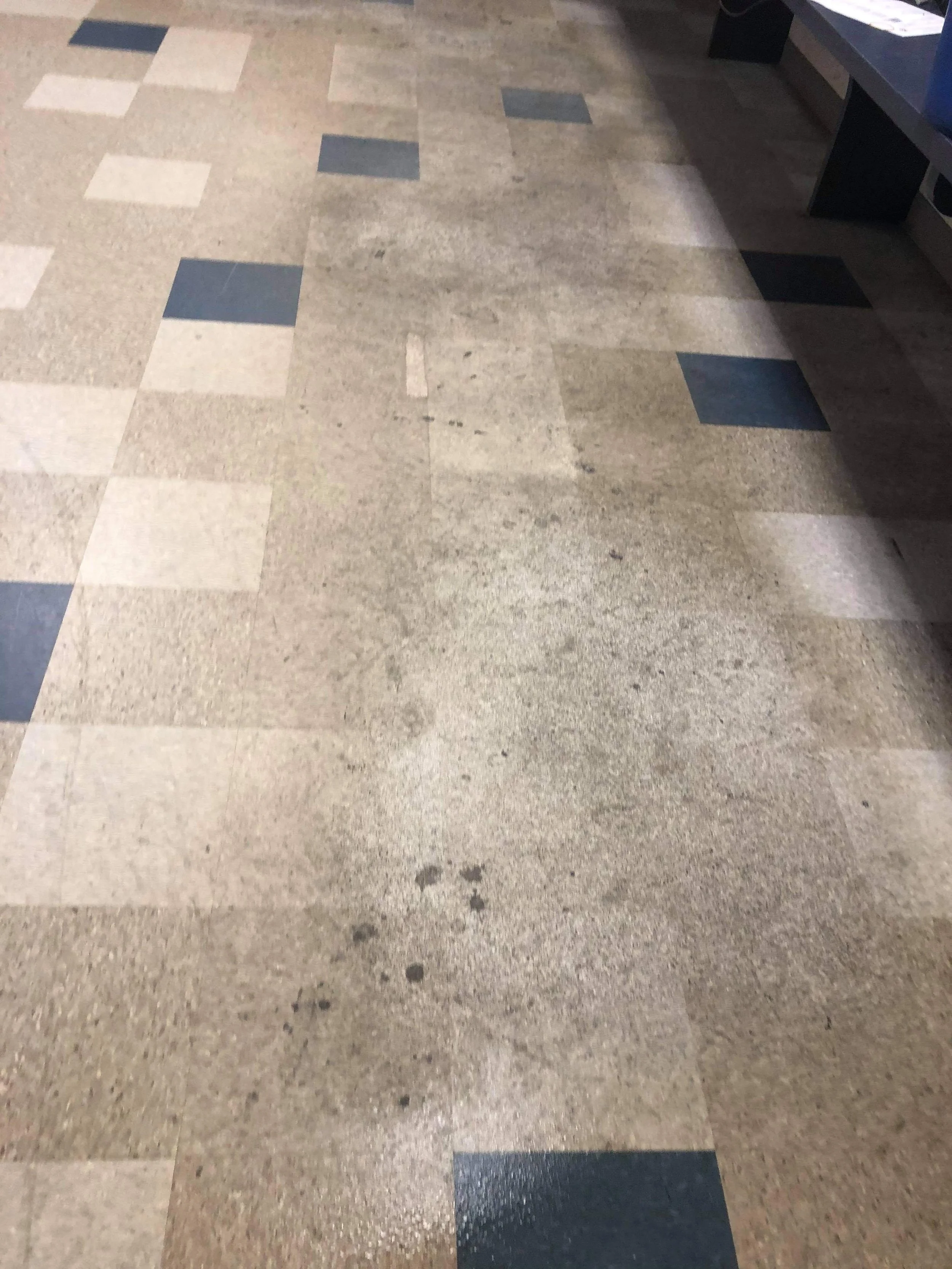 Clover Cleaning providing professional vinyl floor cleaning and restoration in Pompano Beach, leaving floors bright, clean, and refreshed.