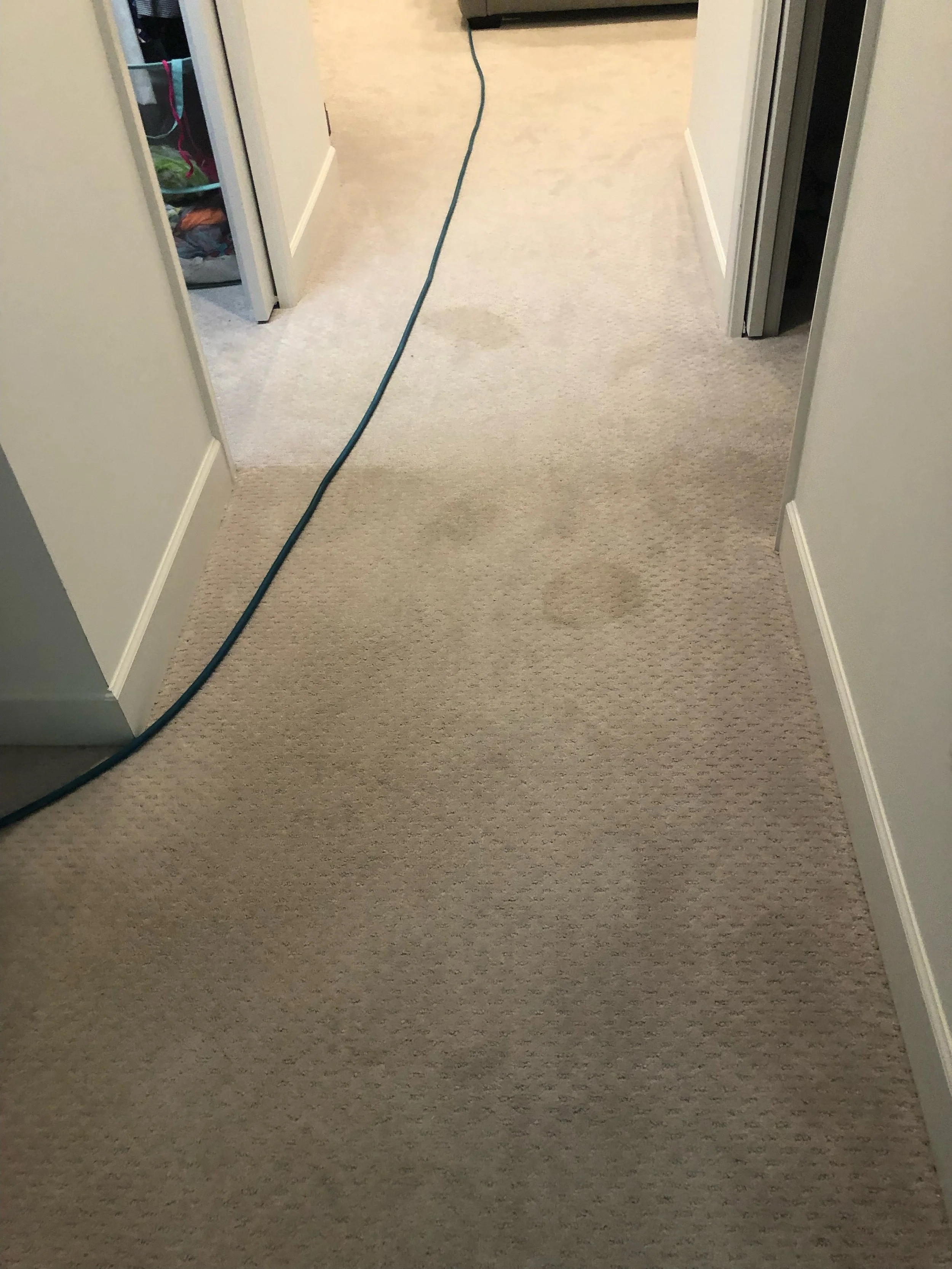 Clover Cleaning technician performing deep carpet cleaning in a Lighthouse Point, Florida home using professional hot‑water extraction.