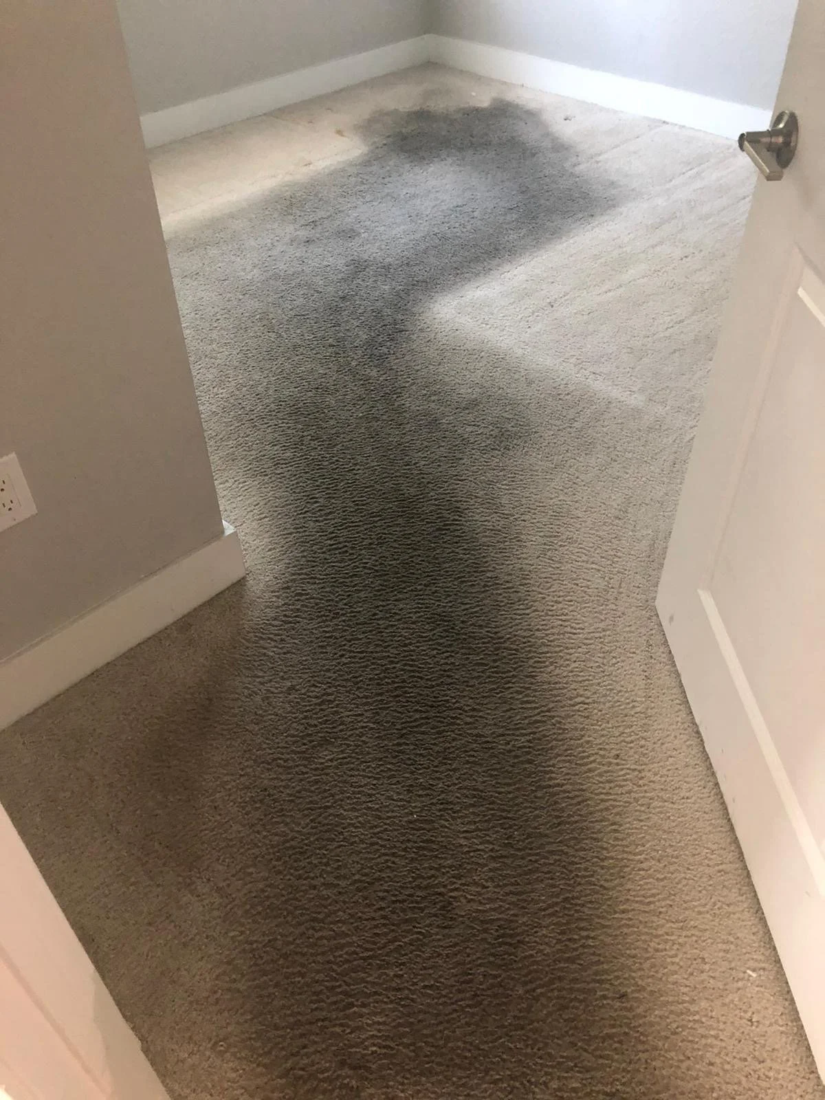 Clover Cleaning technician performing deep carpet cleaning in a Boca Raton home using professional hot‑water extraction and stain‑removal methods.