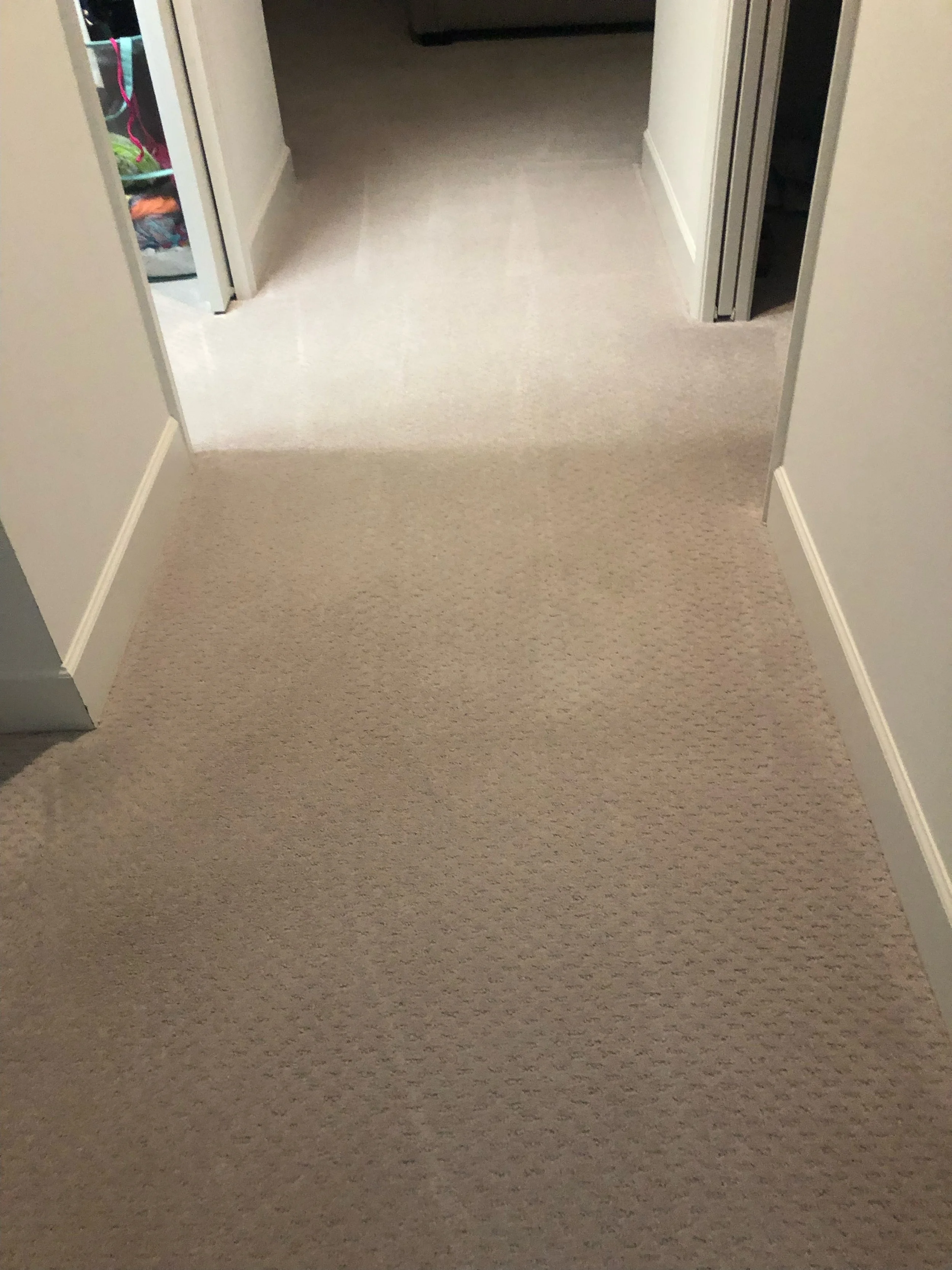 Clover Cleaning technician performing deep carpet cleaning in a Lighthouse Point, Florida home using professional hot‑water extraction.