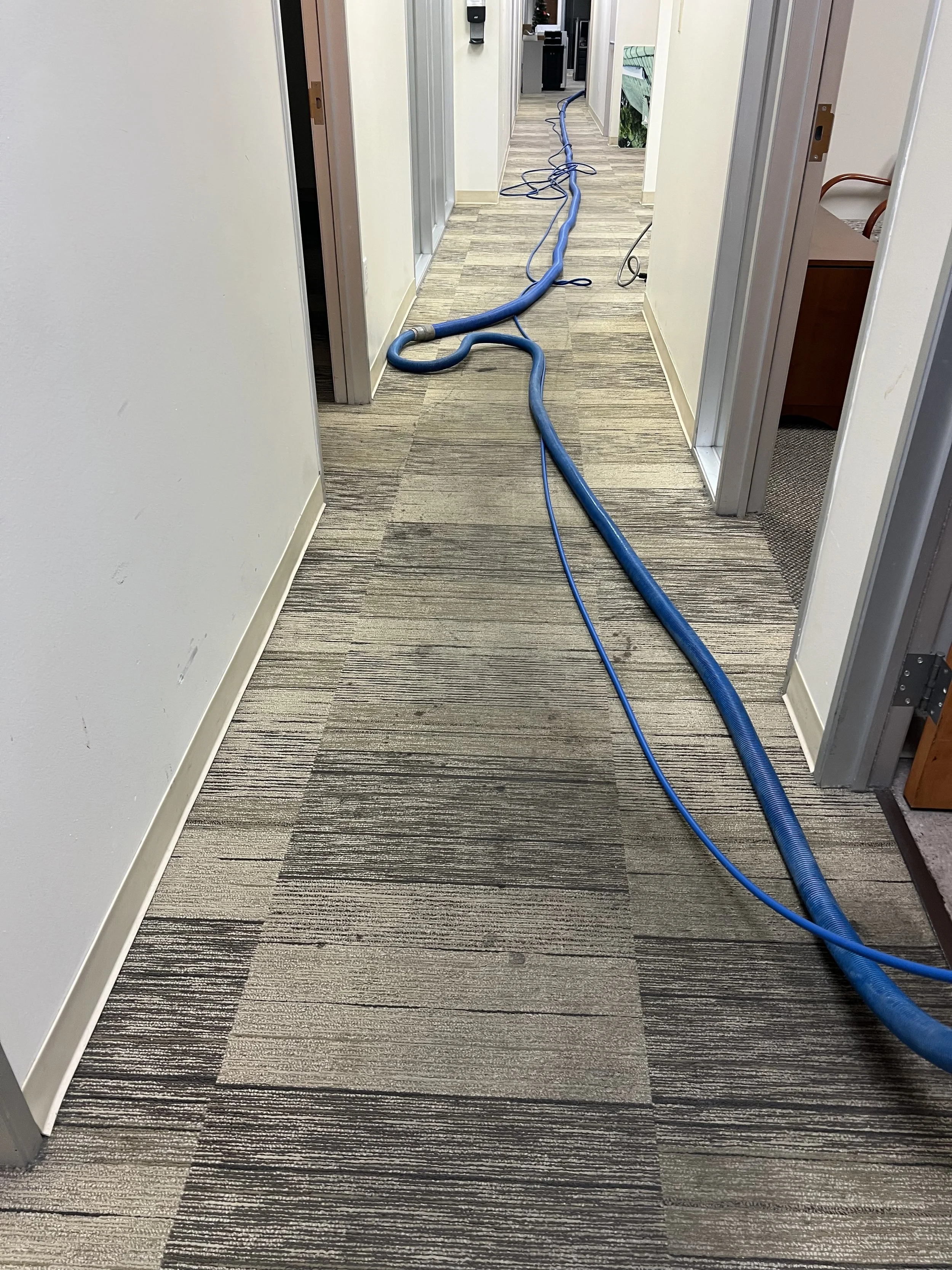 Professional carpet cleaning technician servicing homes across Palm Beach, Broward, Martin, and Miami‑Dade counties.