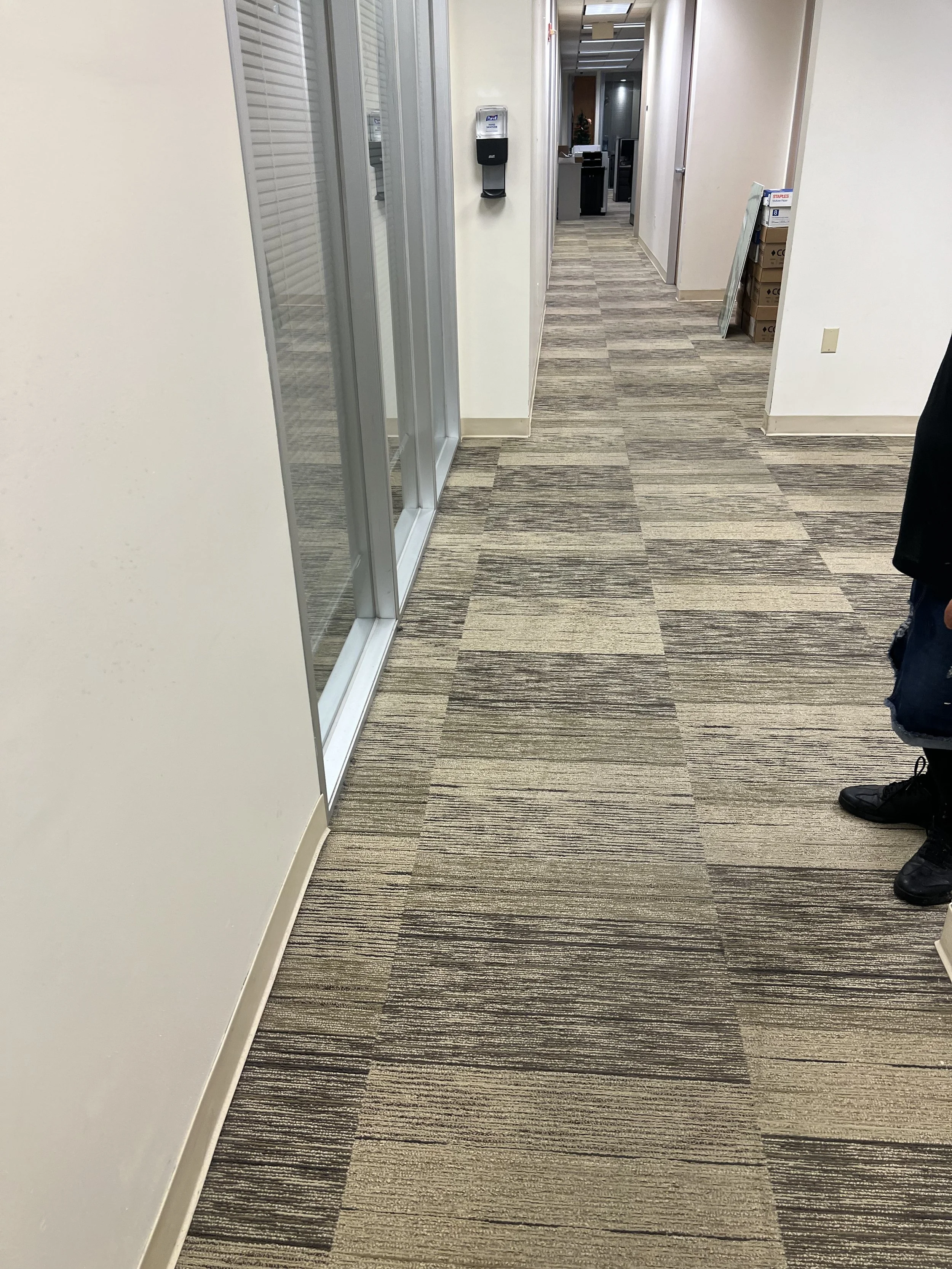 Professional commercial carpet cleaning service restoring office flooring in Boca Raton, Florida.