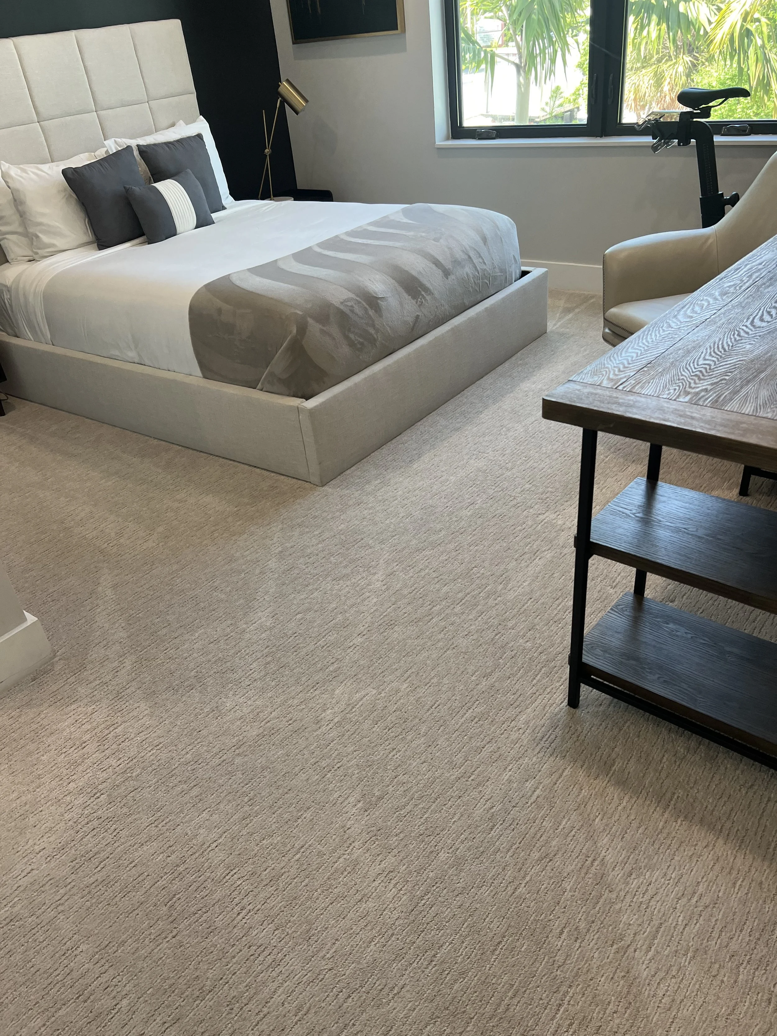 Carpet Cleaning in Boca Raton, Fl