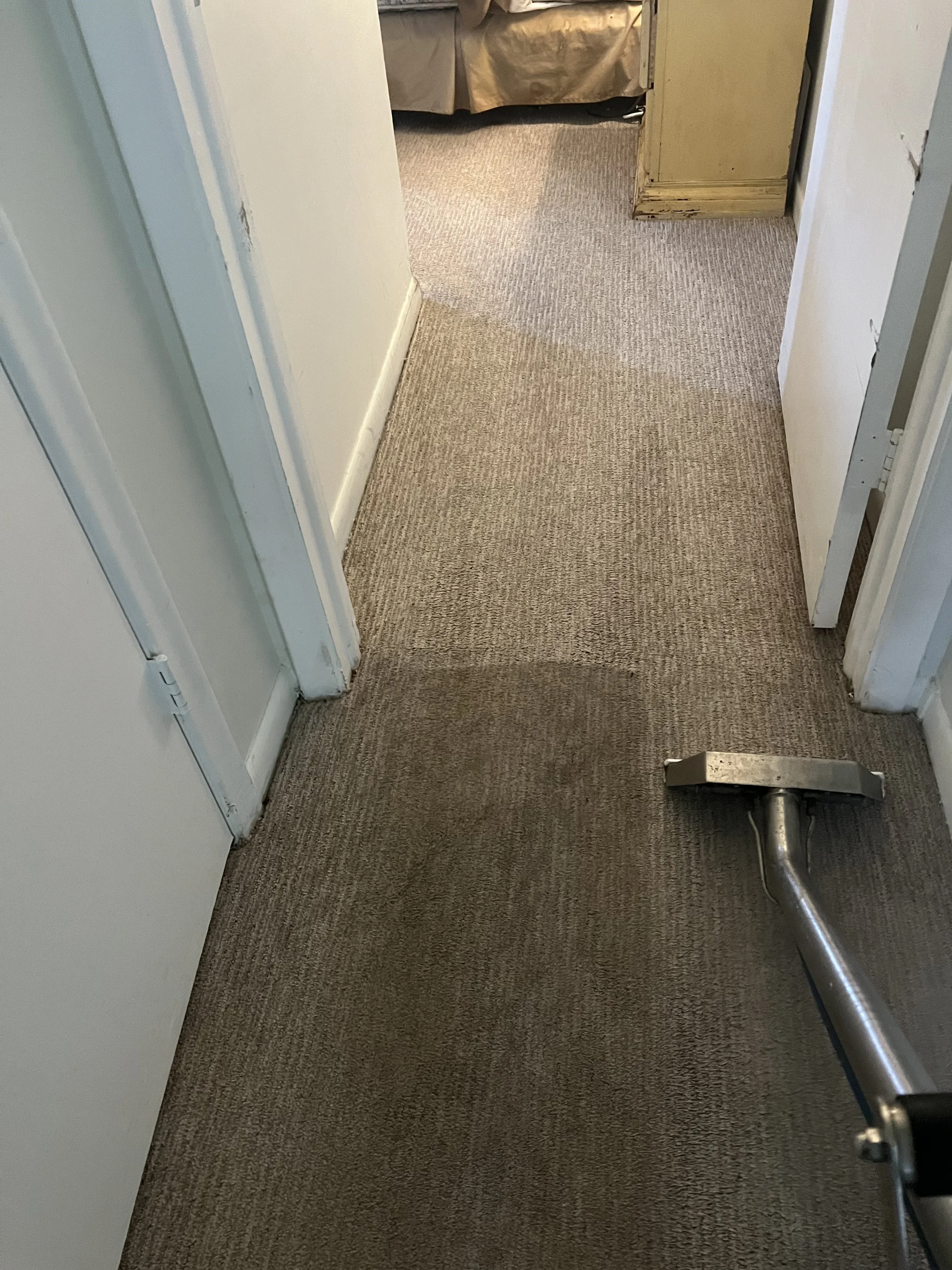 Clover Cleaning providing professional deep carpet cleaning in Tequesta, Florida, using hot‑water extraction to remove dirt, stains, and allergens.
