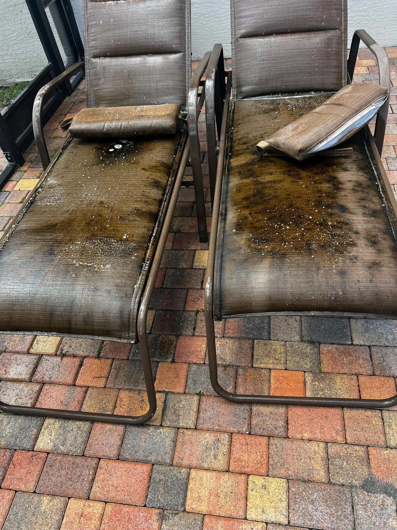 Clover Cleaning providing professional furniture and upholstery cleaning services for homes and businesses in Palm Beach, Florida.