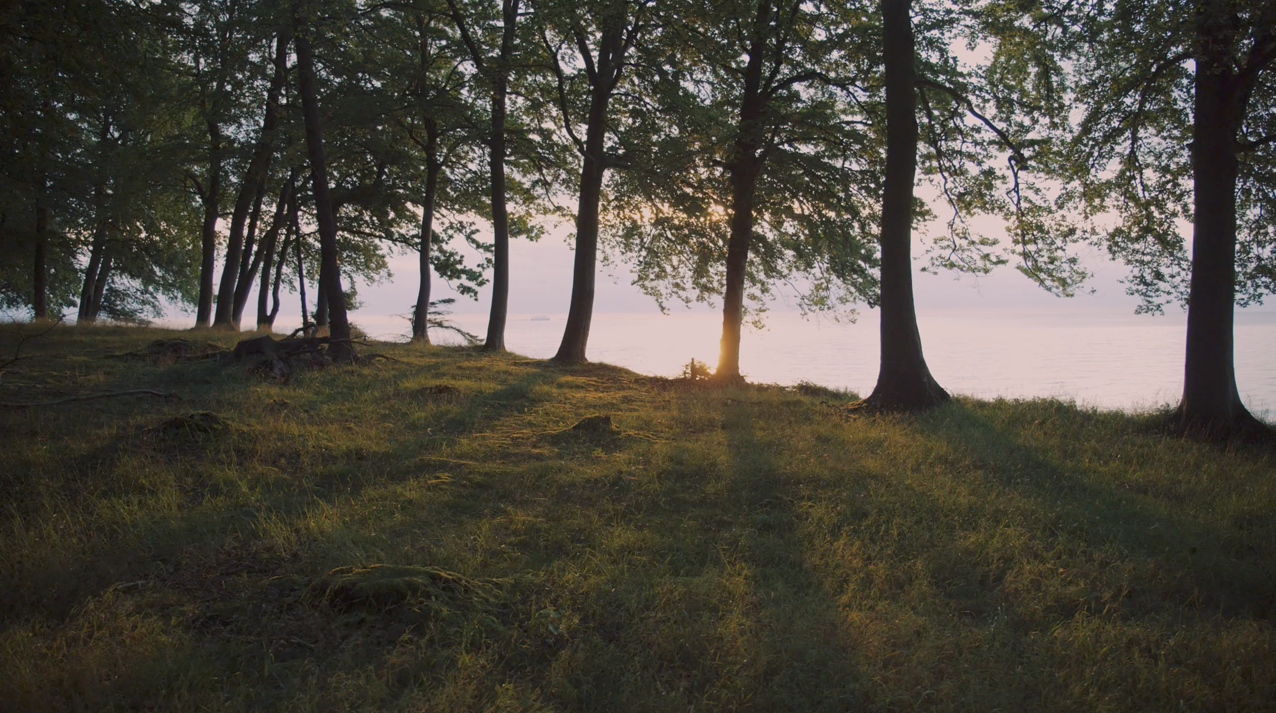 Screenshot 2026-04-23 at 23.00.05.png