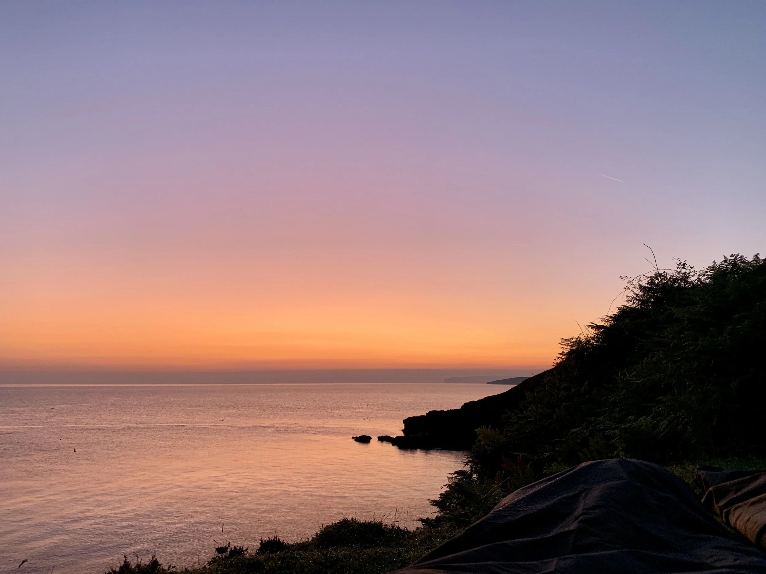 IMG_0479 Lisa Hale.jpeg