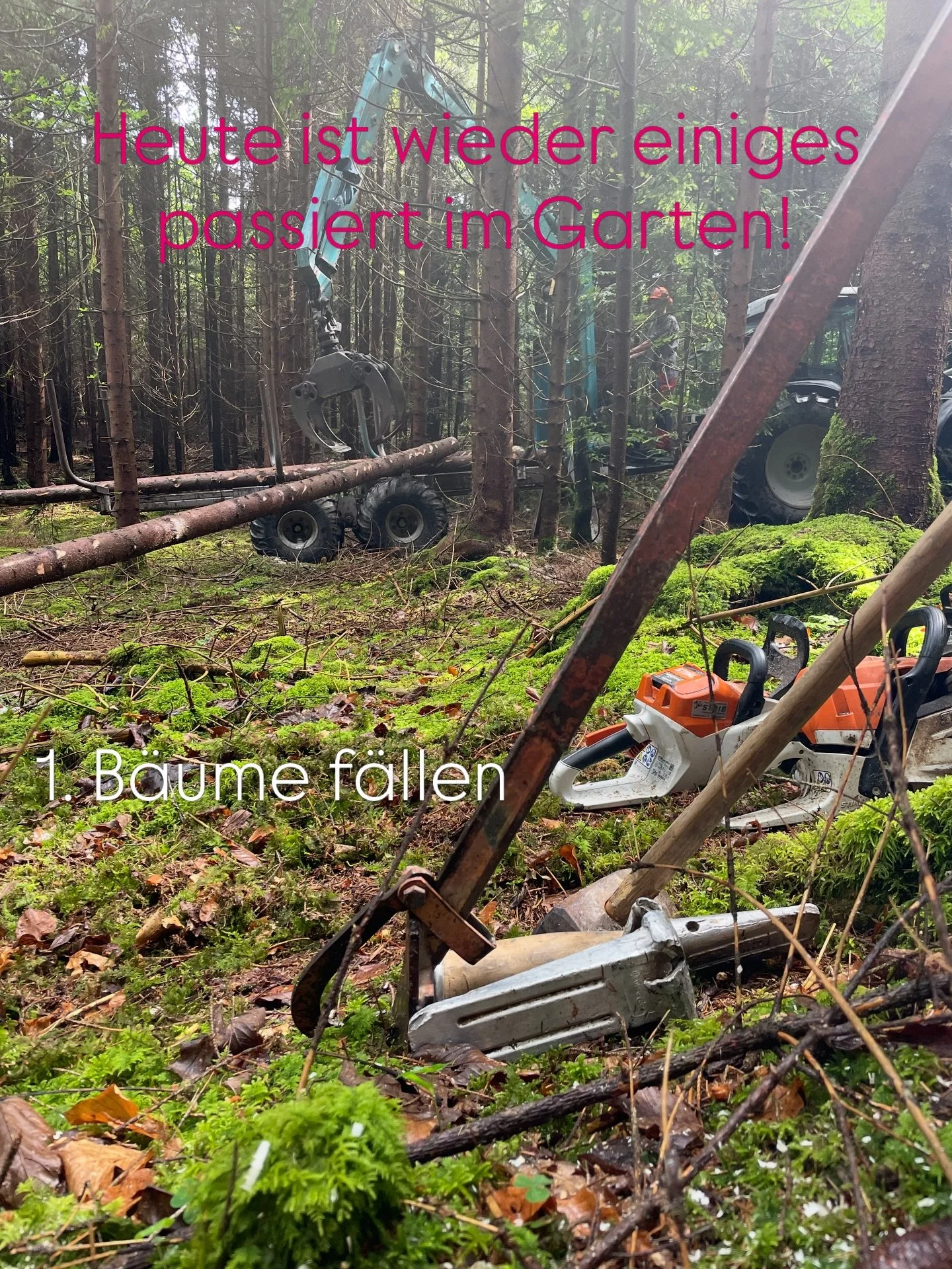 🌱 Heute ist wieder ein St&uuml;ck mehr Garten entstanden.

Damit mein Garten nicht nur ein Ort zum Gem&uuml;seanbau, sondern auch zum Verweilen wird, haben wir heute einen neuen Weg angelegt.

Dabei war uns wichtig, m&ouml;glichst nat&uuml;rliche Ma