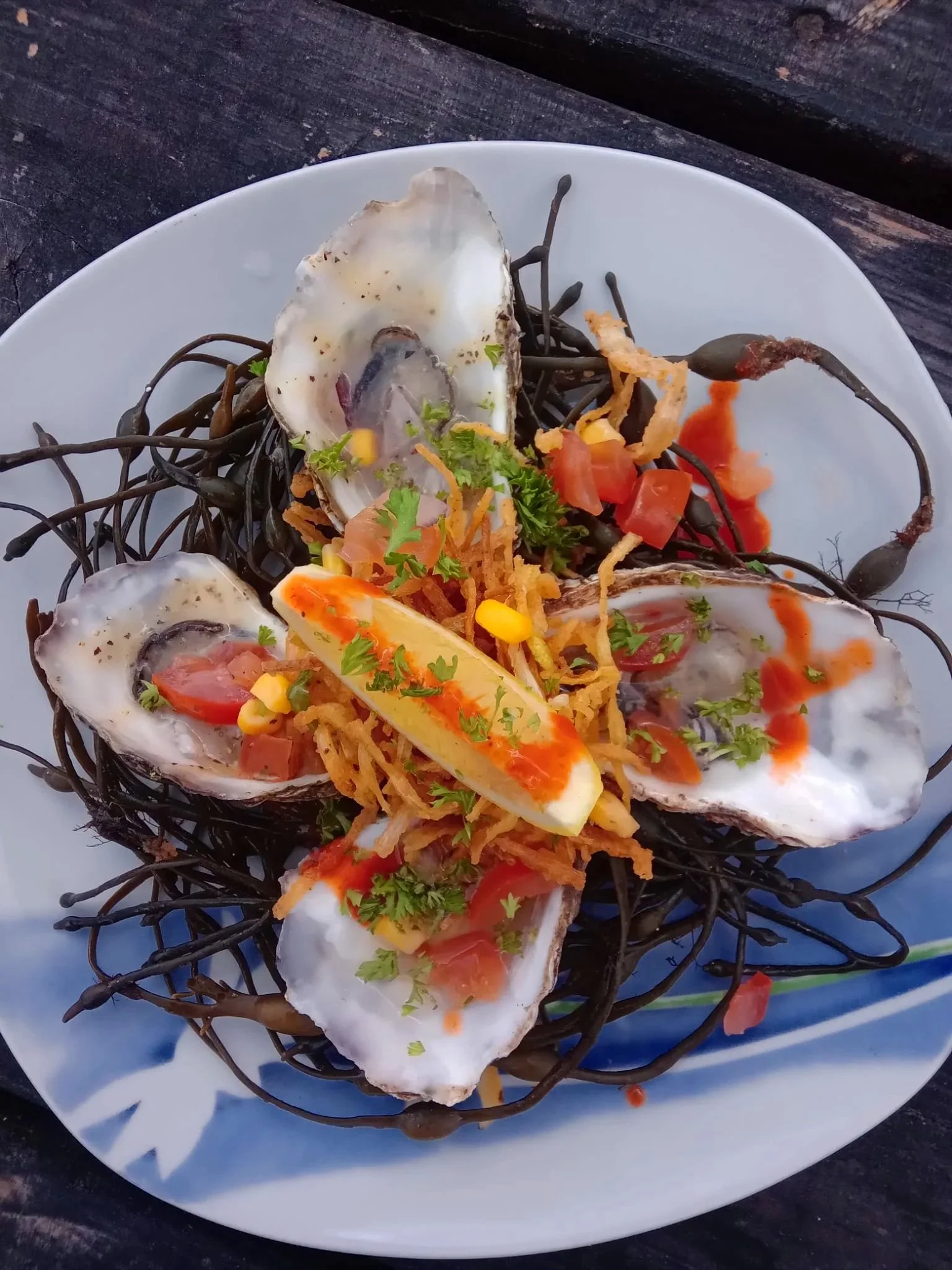 oysters.jpg