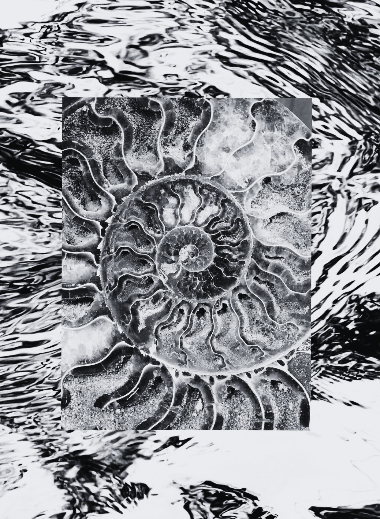 Screenshot 2026-04-13 at 12.58.28.png