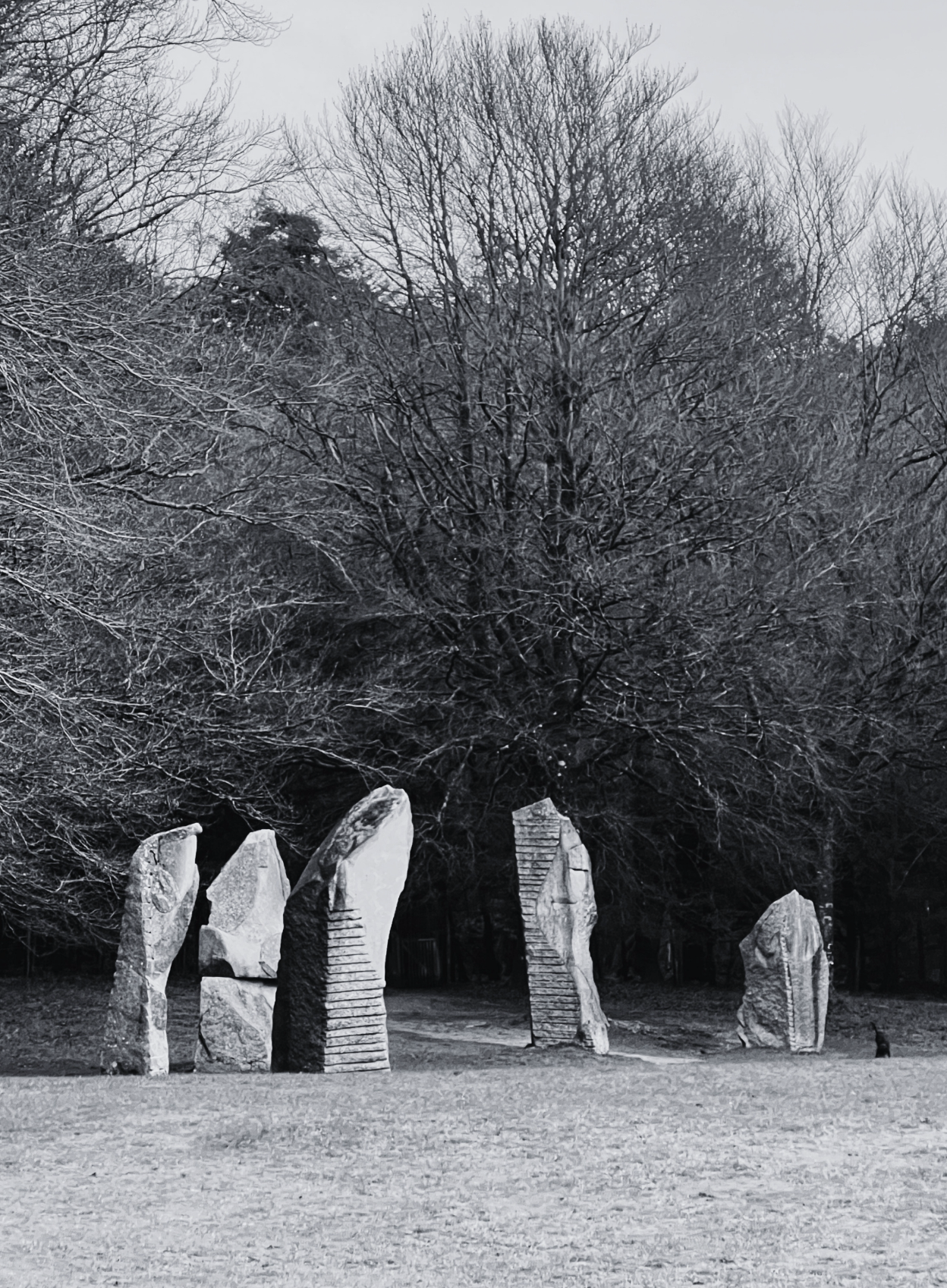 Screenshot 2026-04-13 at 12.59.02.png