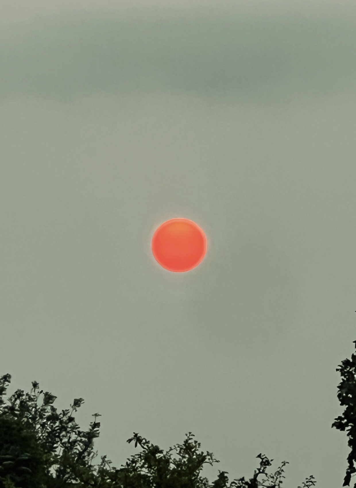 Screenshot 2026-04-13 at 12.59.47.png