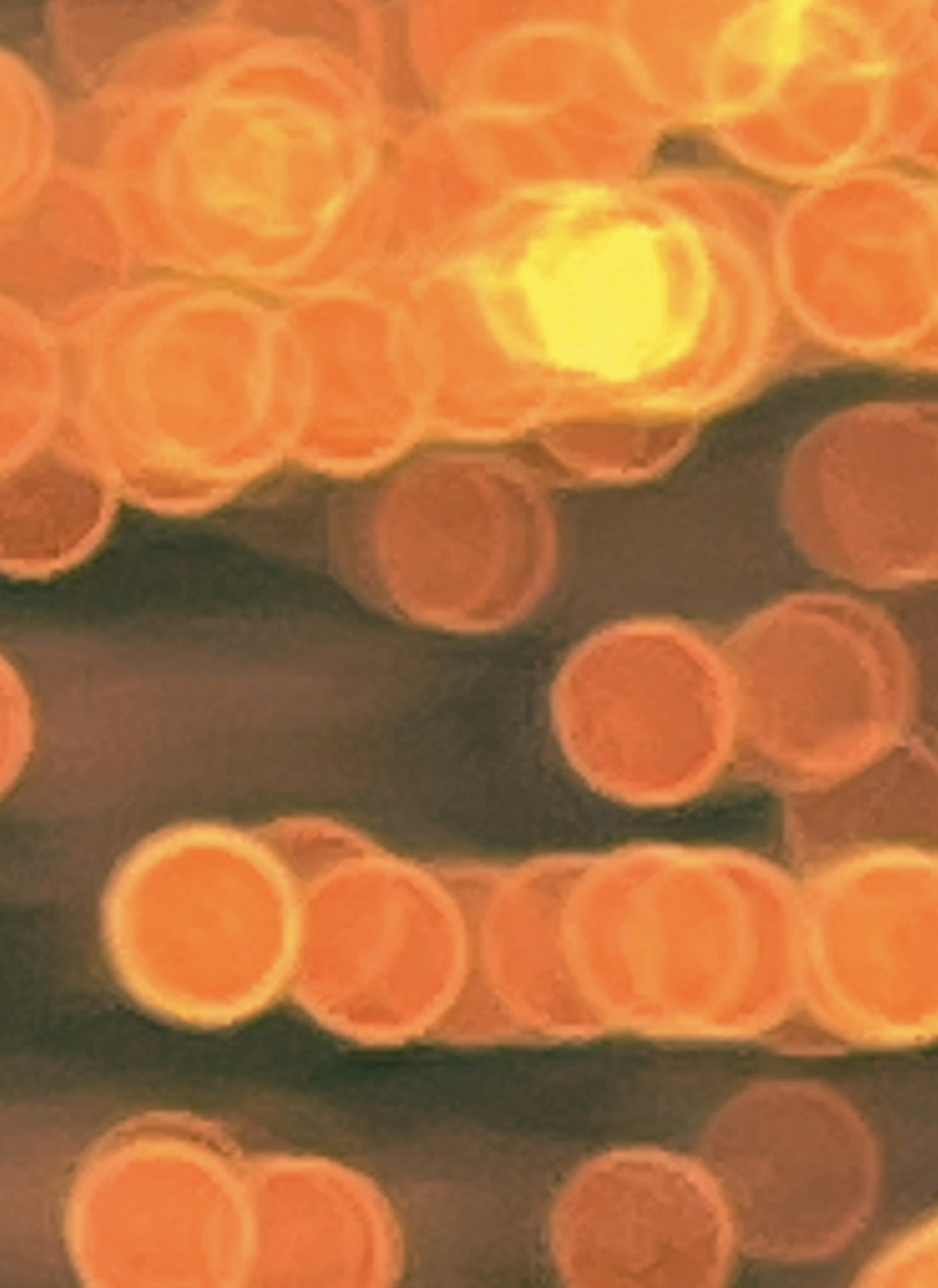 Screenshot 2026-04-13 at 13.00.39.png