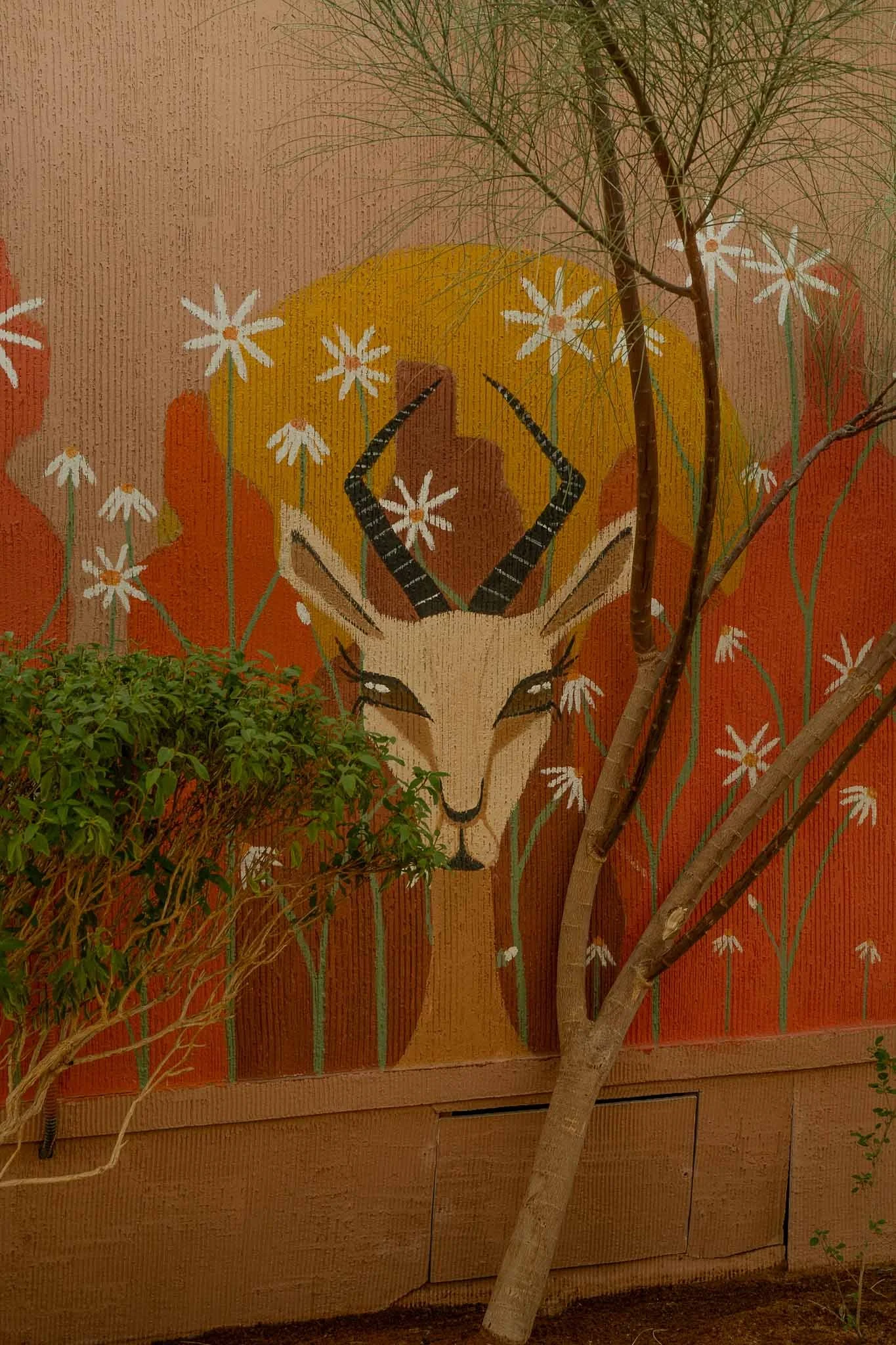 cloud 7 alula art-36.jpg