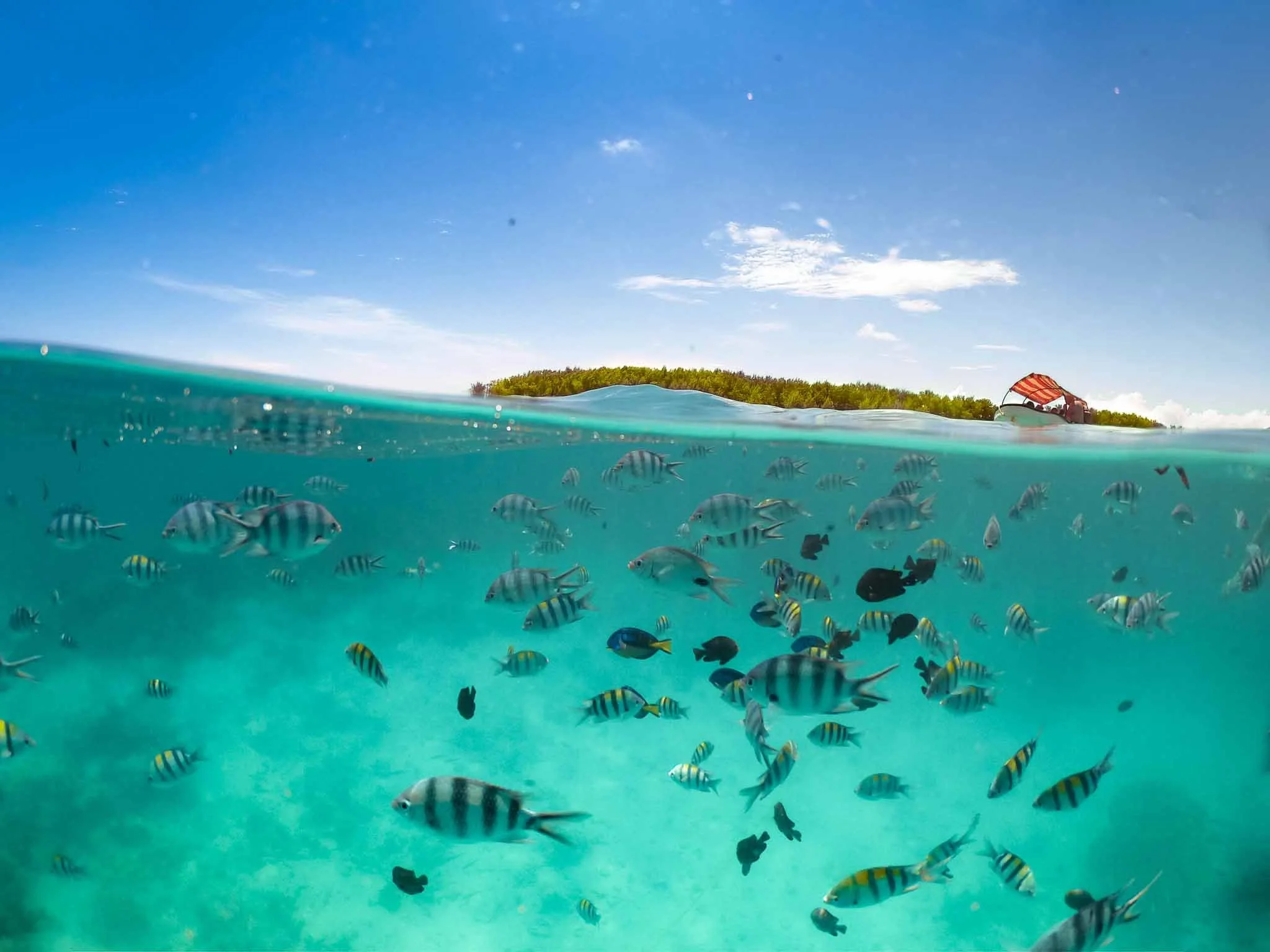tanzania-web-27.jpg