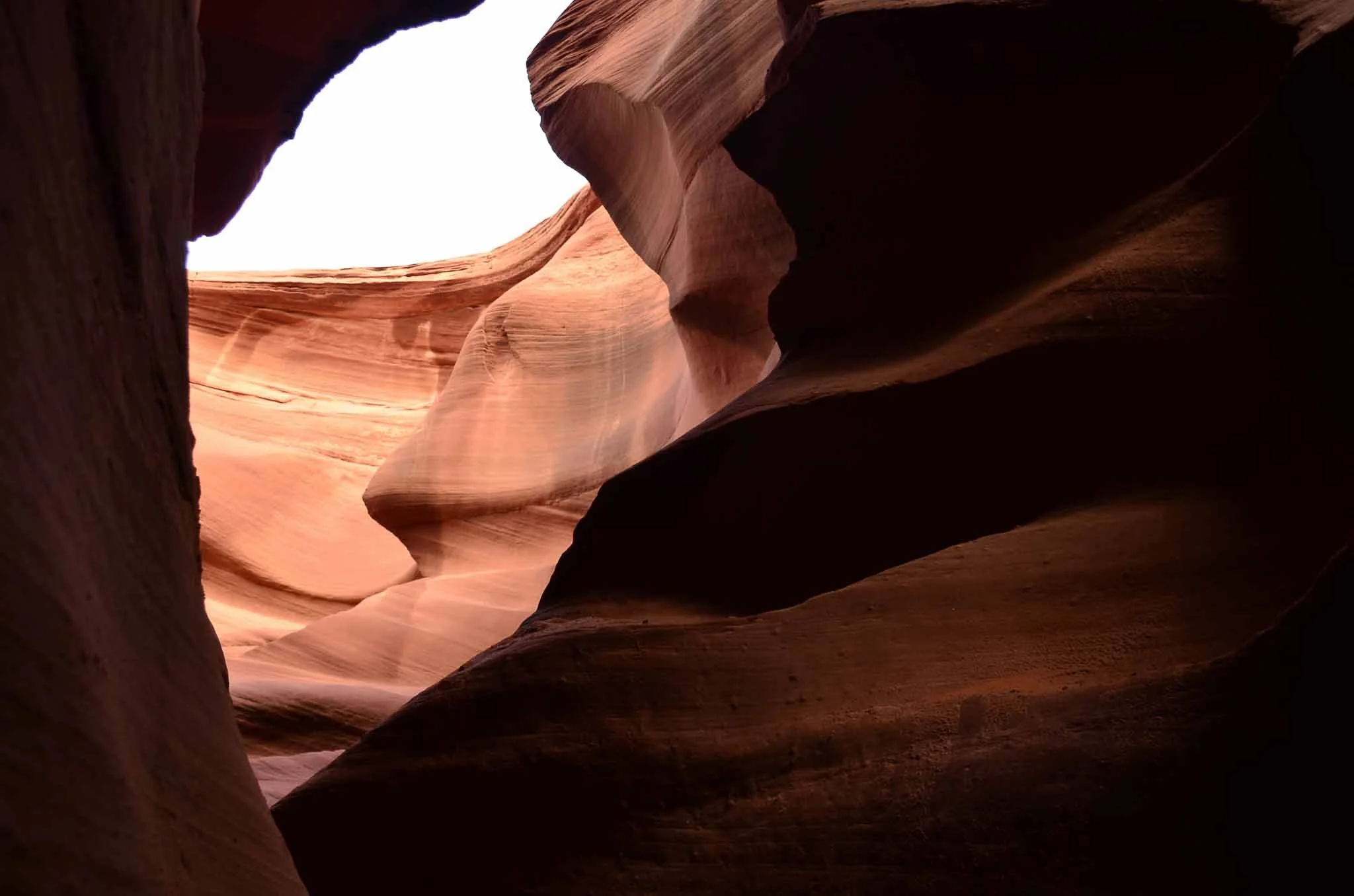 Destinations-Jordan-Collage 9.jpg