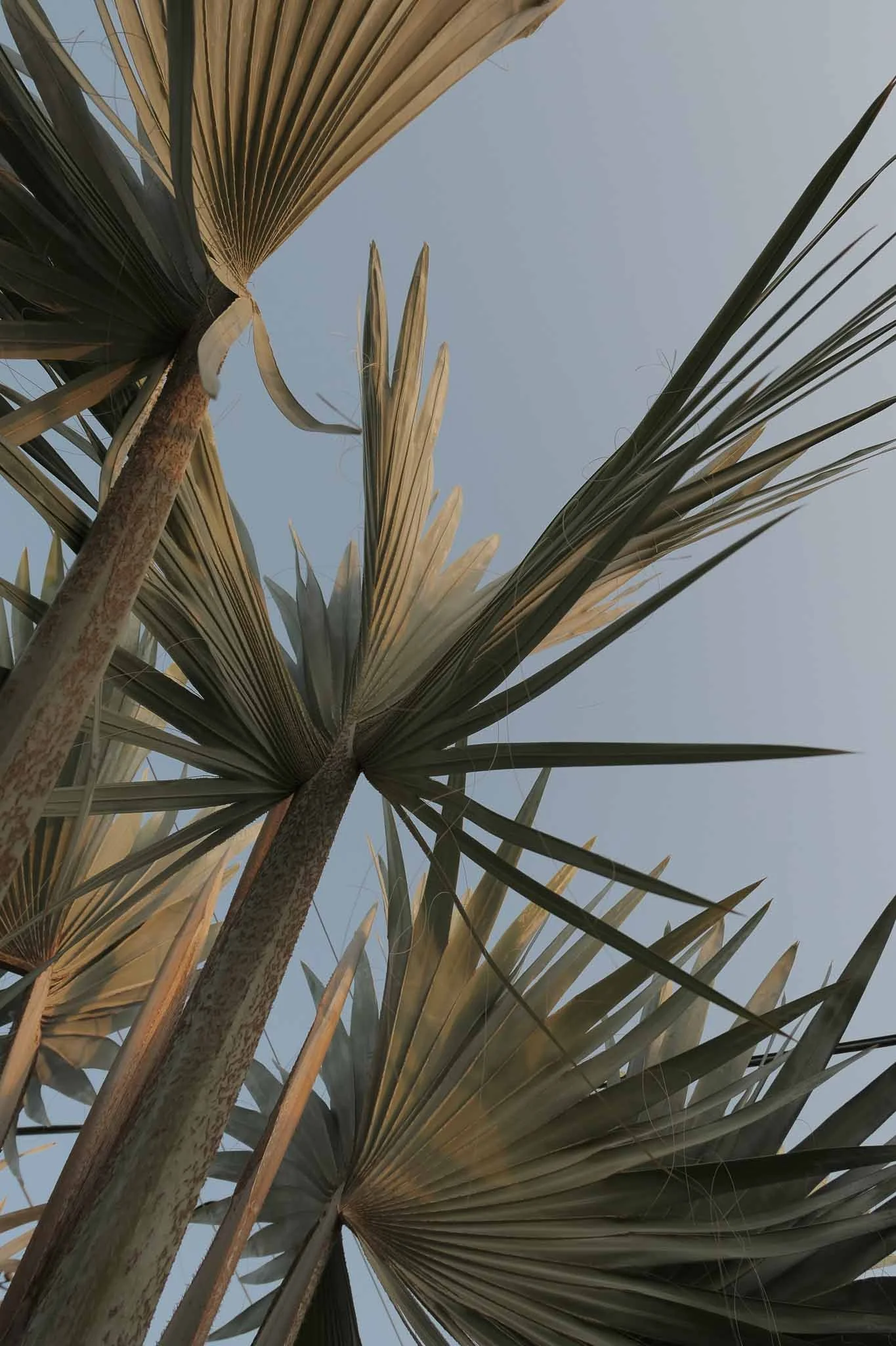 Destinations-Saudi Arabia-Collage 4.jpg