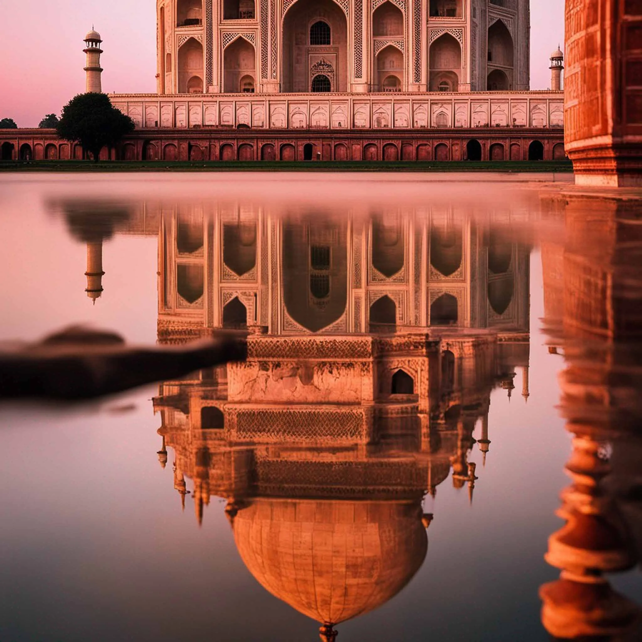 Destinations-India-Collage 1.jpg