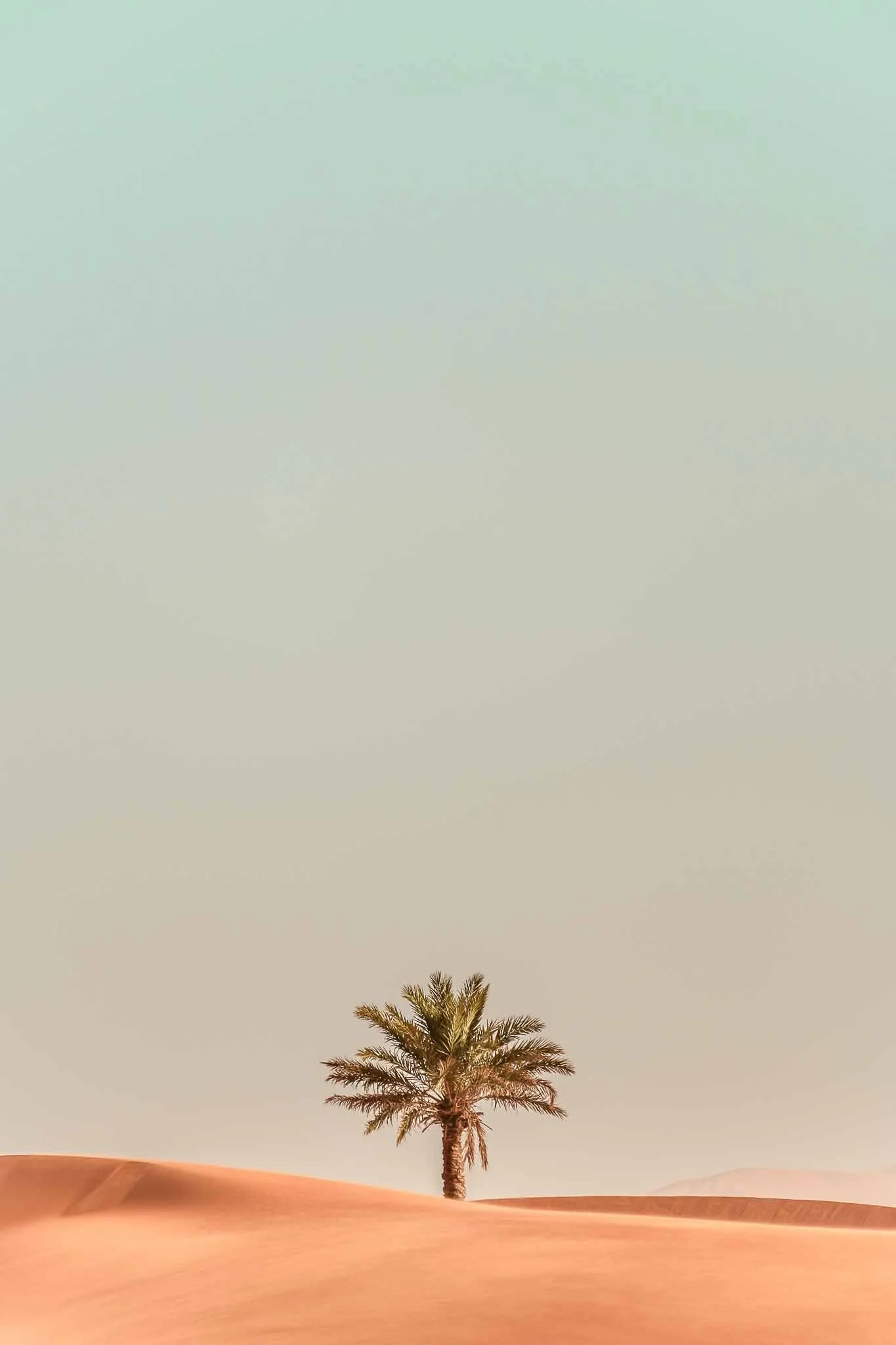 Destinations-Saudi Arabia-Collage 1.jpg