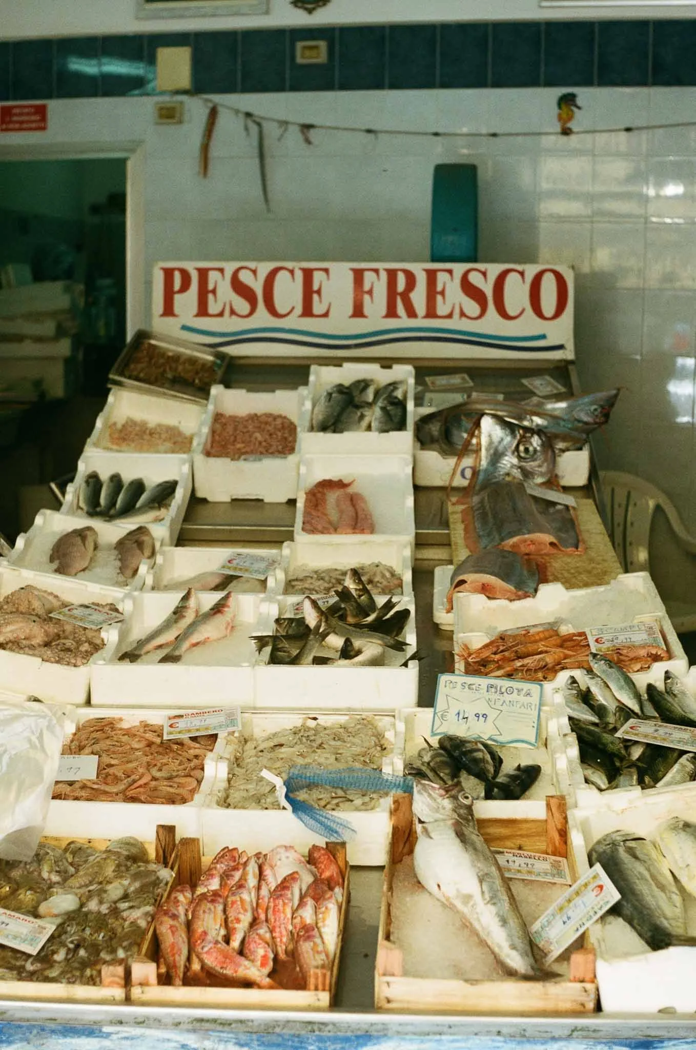 Destinations-Italy-Collage 4.jpg