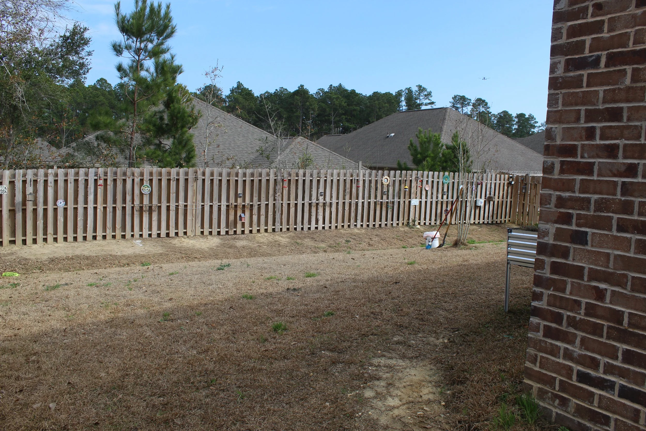 Before lawn care in Gulfport, MS: backyard with brown grass and undeveloped flower bed – S.I. Lawn Care.