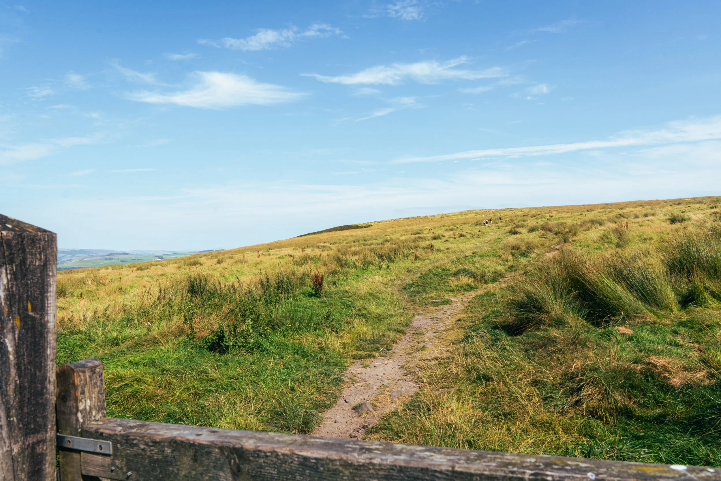Trail Path in the Fields of Bowland.jpg