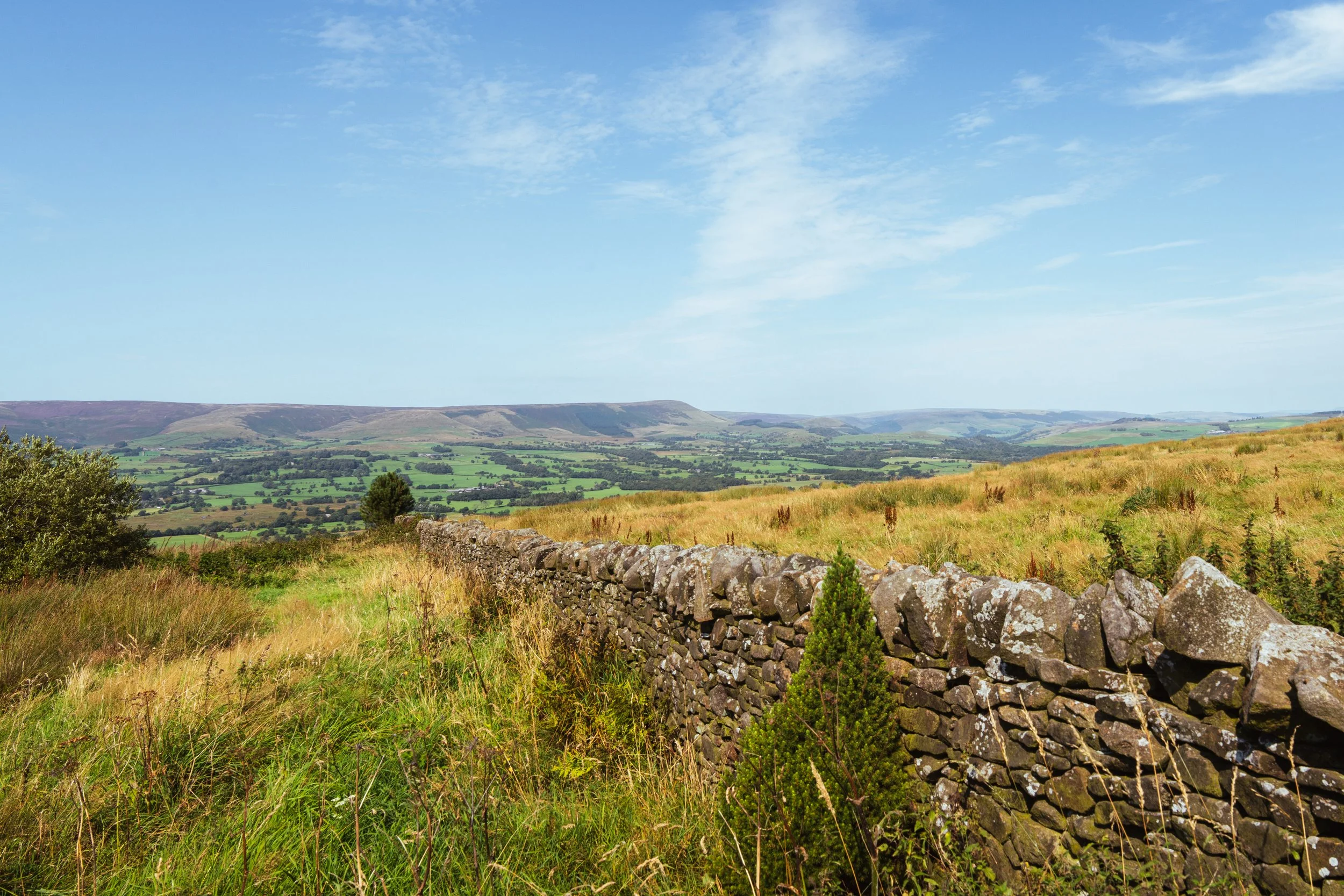 Stone Wall in a Field in Bowland.jpg