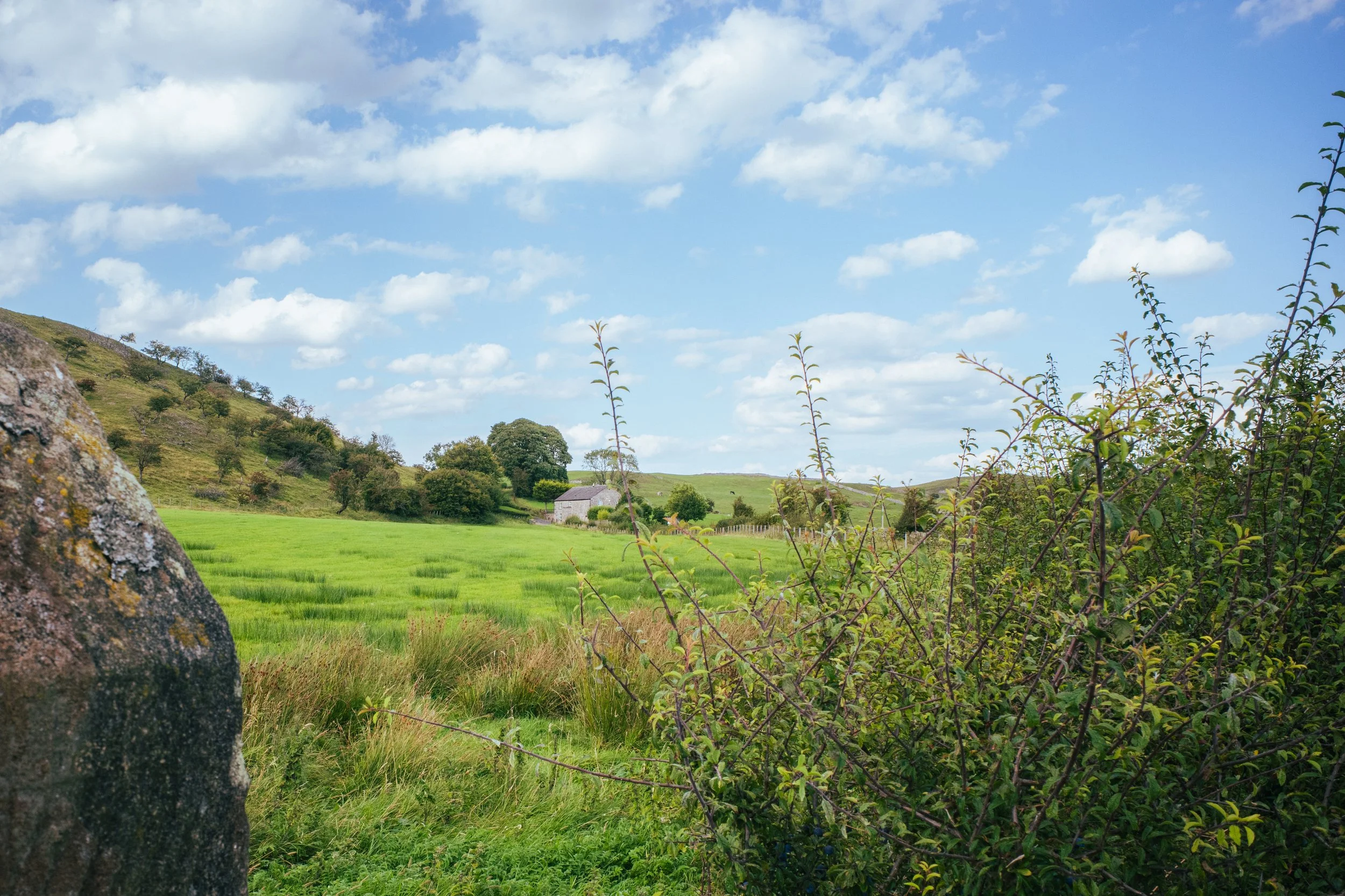 Farm House in Bowland.jpg