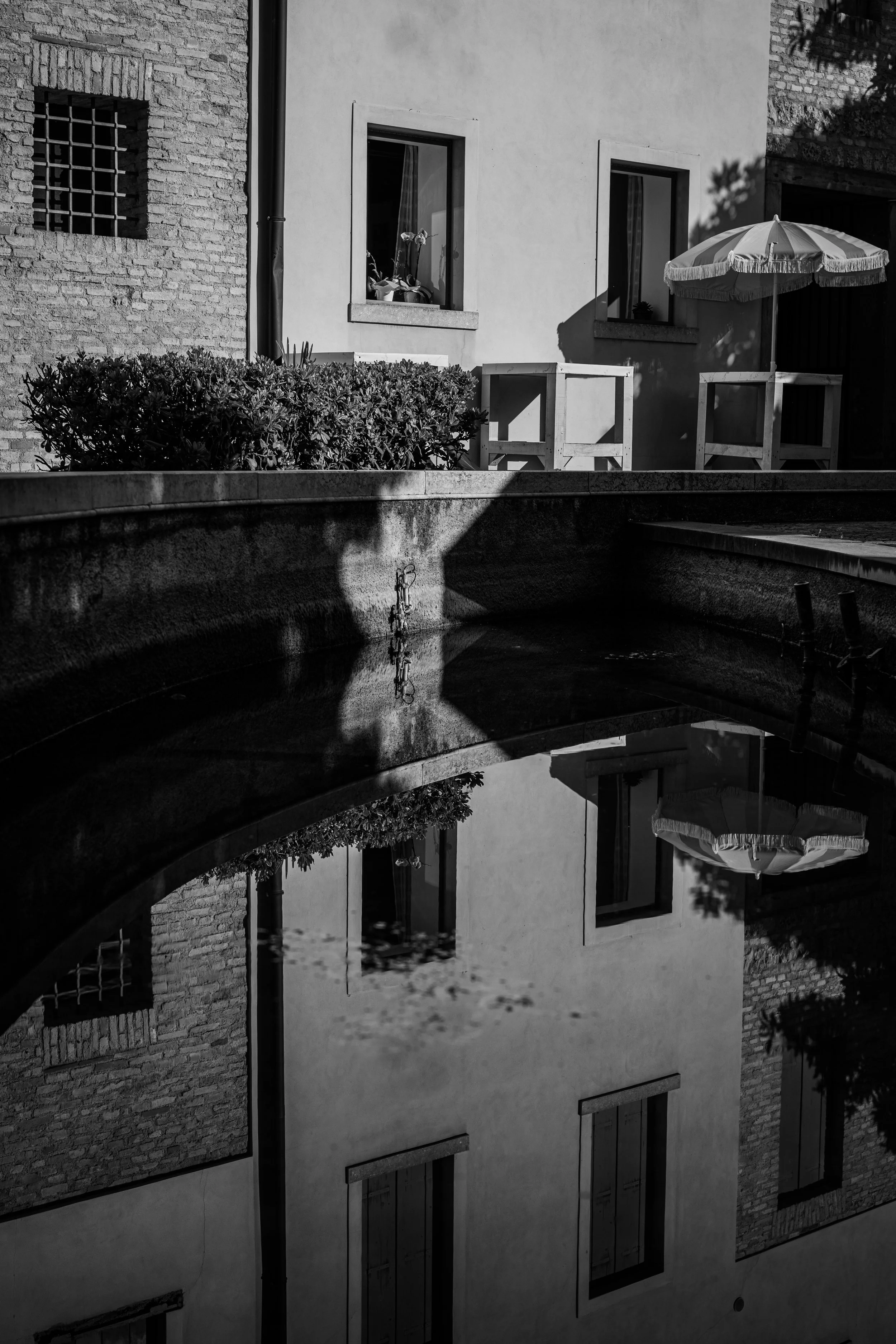 Summer Reflections.jpg