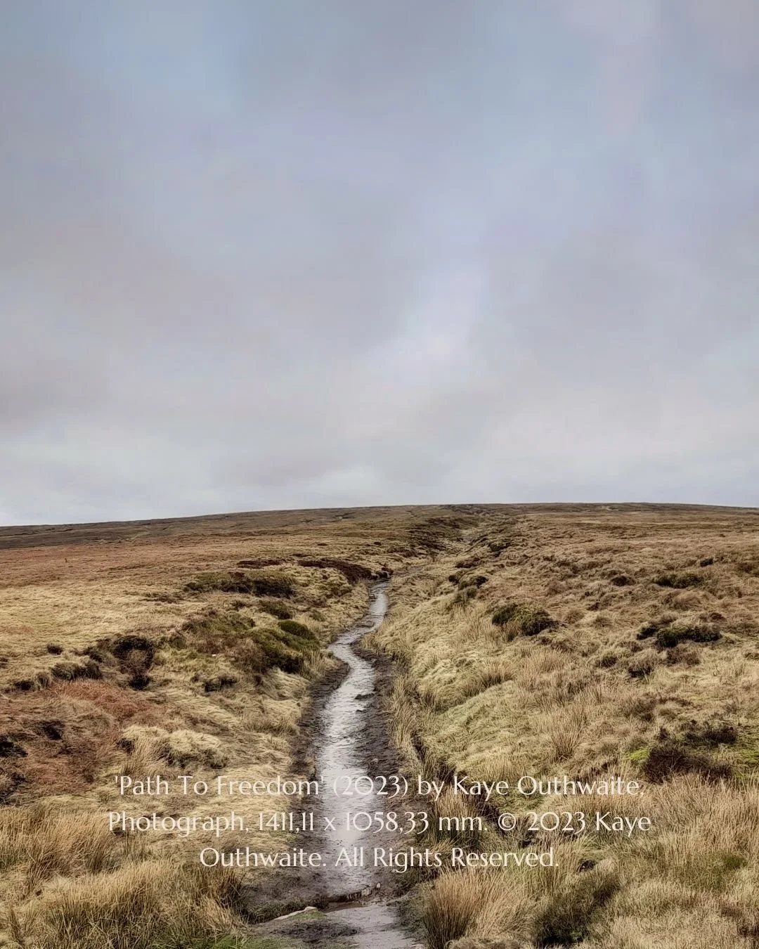 Close-up detail of 'Path To Freedom' landscape photograph