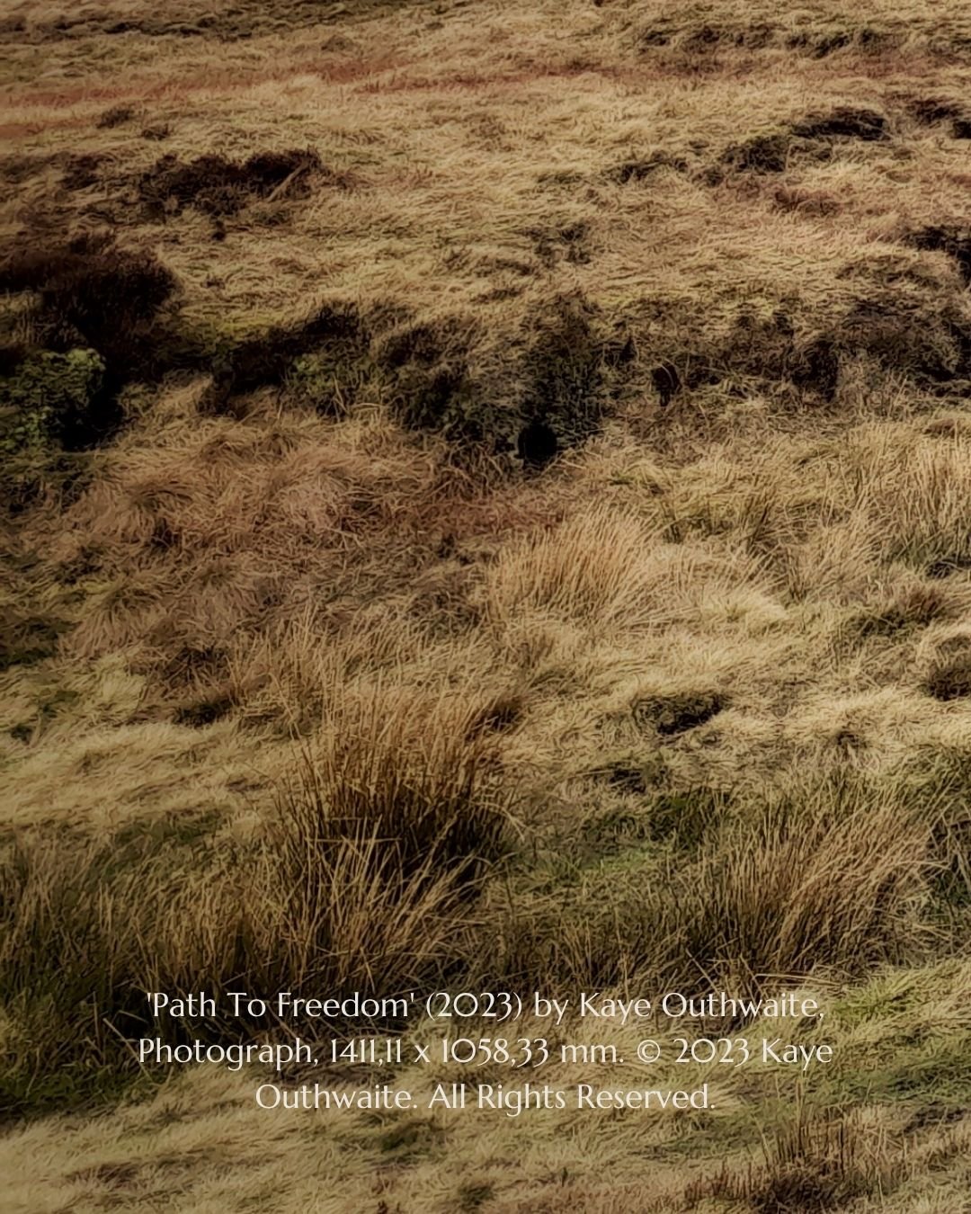 Close-up detail of 'Path To Freedom' landscape photograph