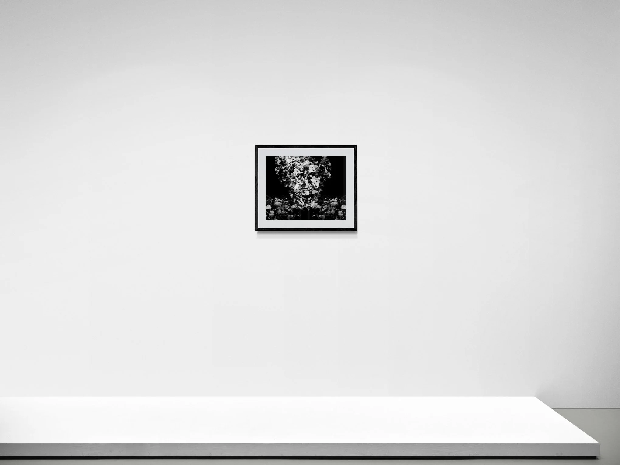 'Show Me What You're Made Of' photographic collage displayed on a gallery wall
