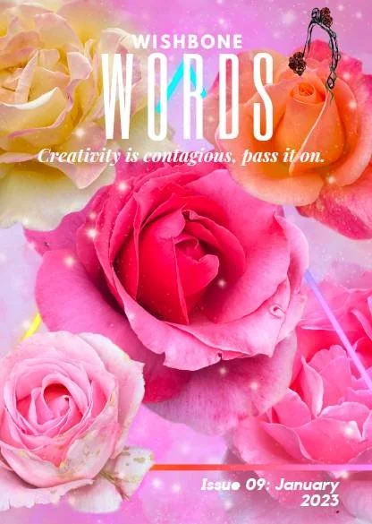 Cover of Wishbone Words Issue 9, featuring Kaye Outhwaite's essay 'Does Fine Art have a problem with disability?'