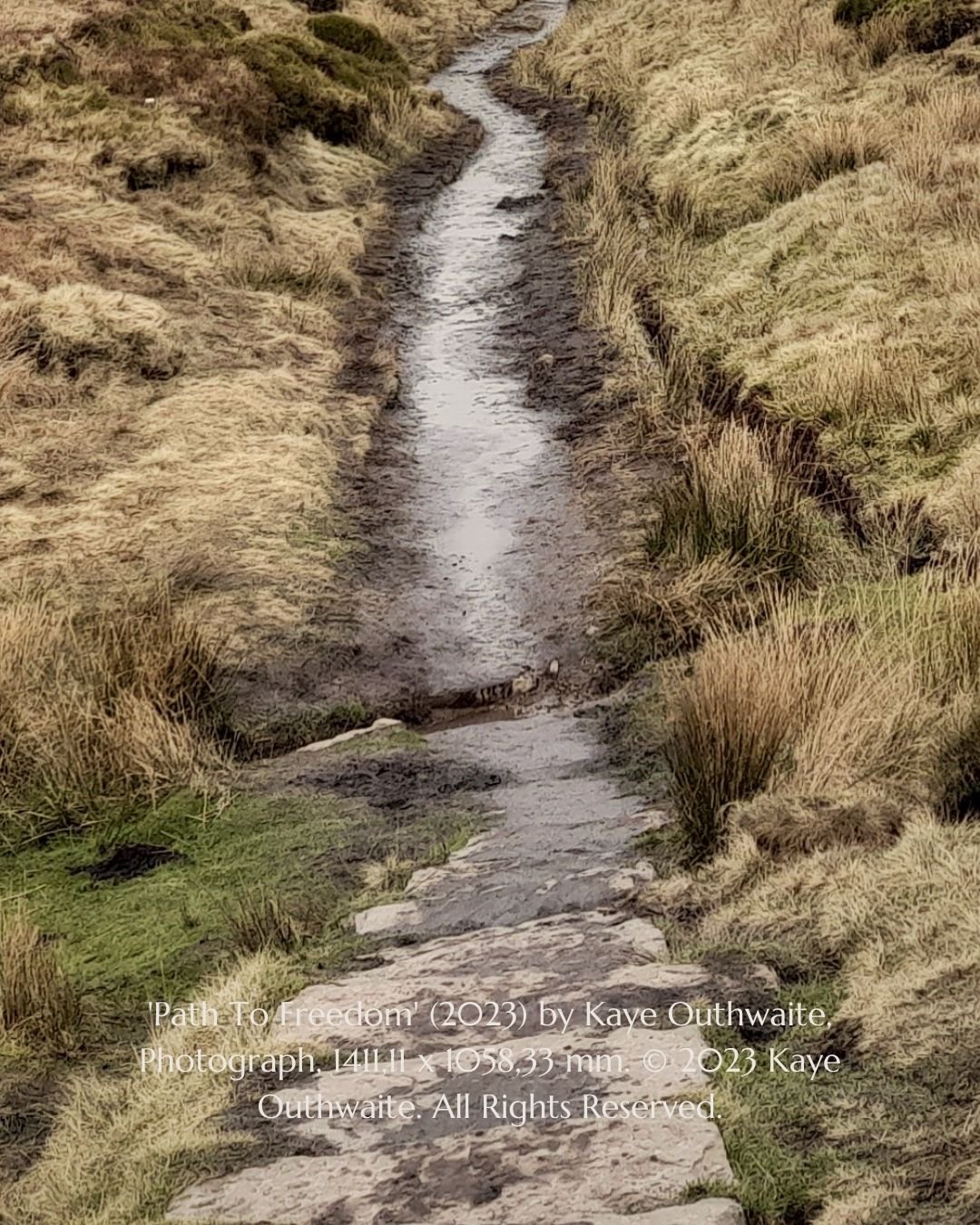 Close-up detail of 'Path To Freedom' landscape photograph