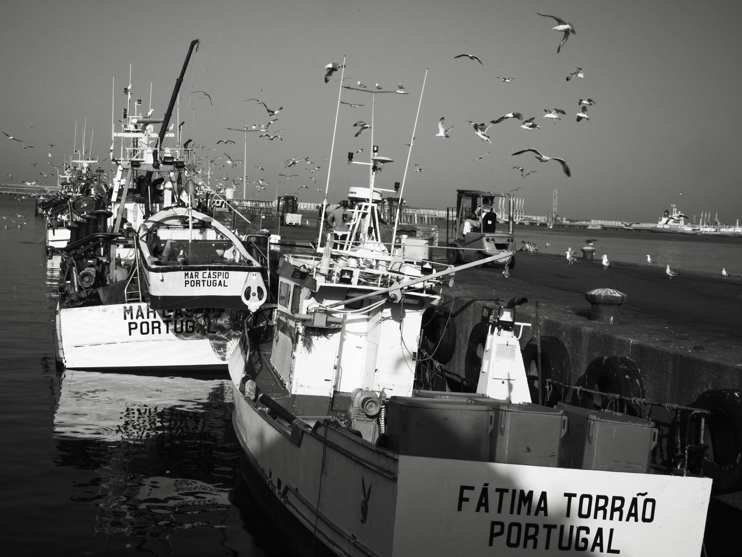 Fishing boats docked at a pier with seagulls flying overhead, in black and white.