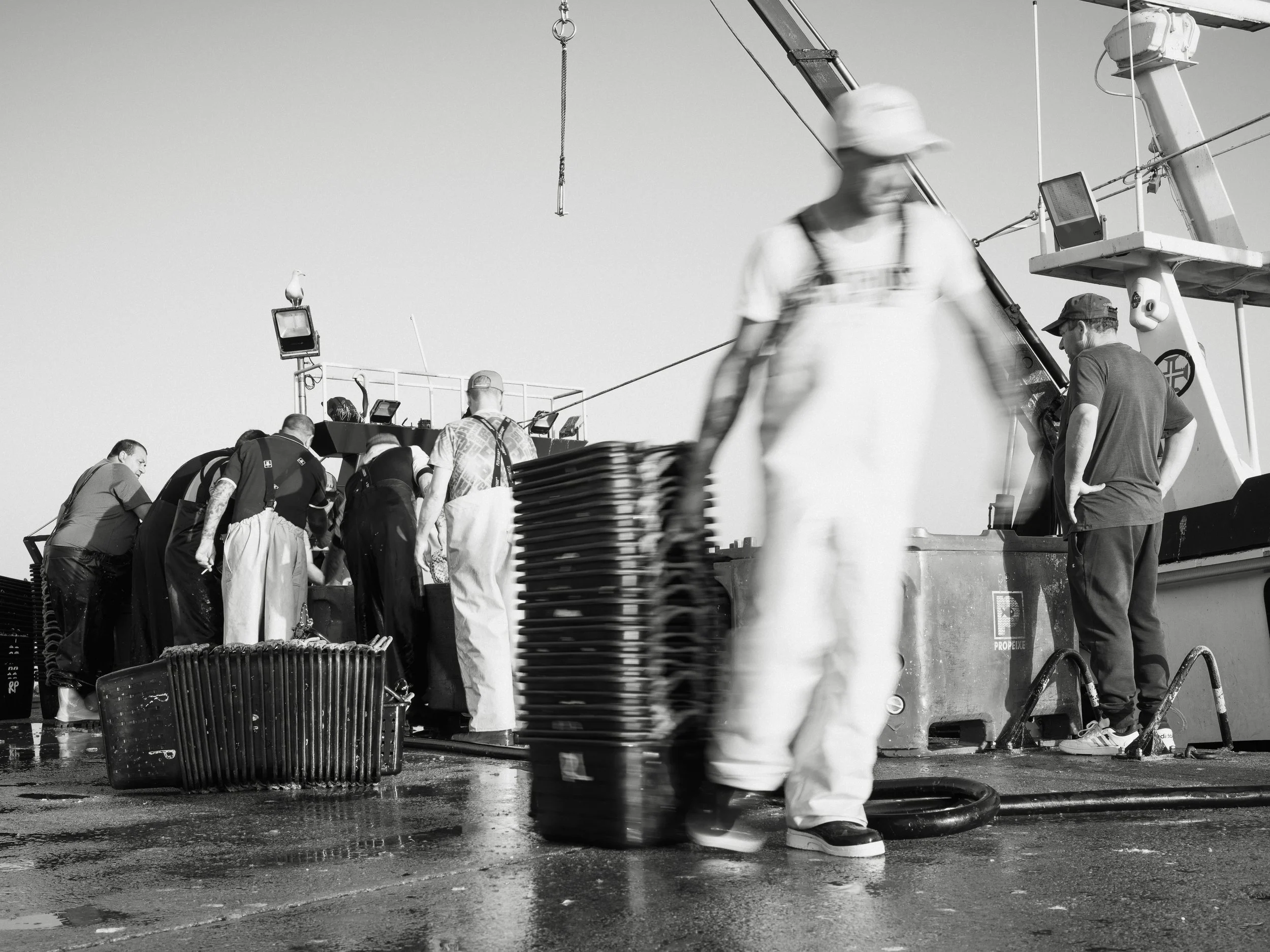 Group of people working on a boat, some leaning over the railing, some standing, with luggage and equipment around, and a seagull sitting on a light fixture.