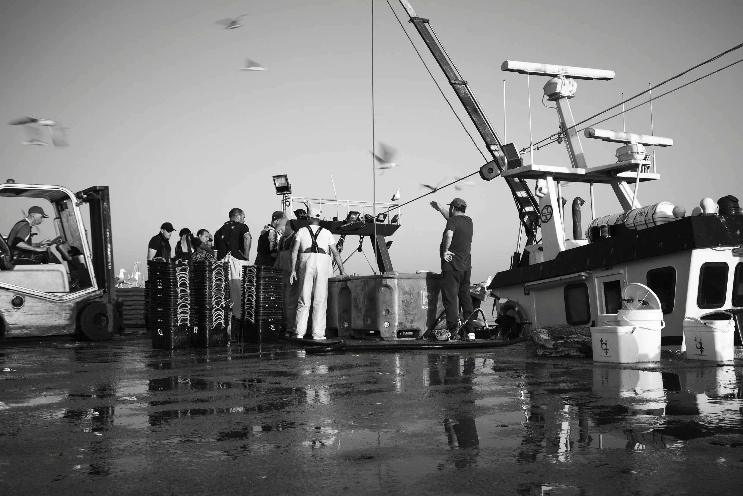 A group of people on a boat dock, some wearing work attire, with a forklift, a crane, and seagulls flying overhead in the background. The scene is in black and white.