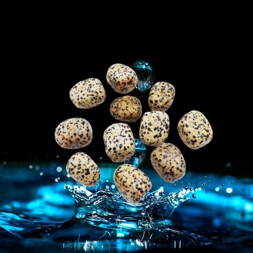 Dalmatian Jasper Tumble