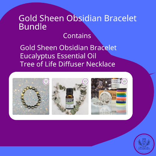 Gold Sheen Obsidian Bracelet Bundle 50