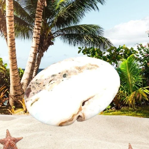 Caribbean Calcite Palmstone