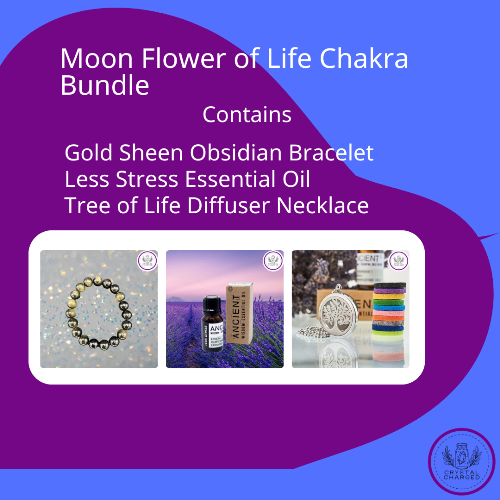 Gold Sheen Obsidian Bracelet Bundle 54