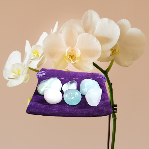 Pneumonia Support Pouch