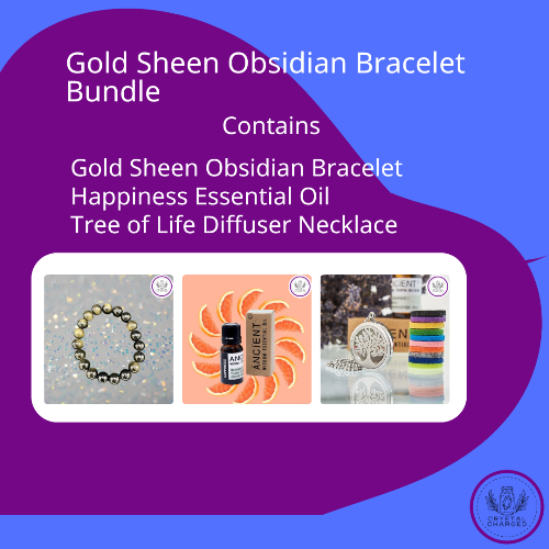 Gold Sheen Obsidian Bracelet Bundle 53