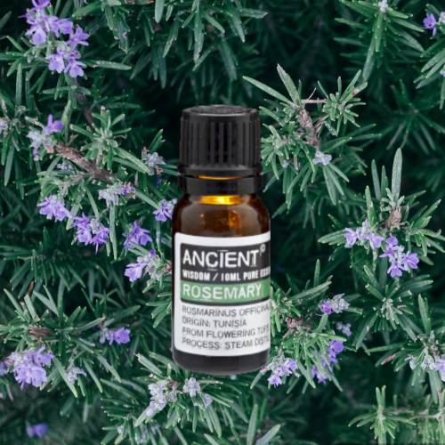 Rosemary Essential Oil