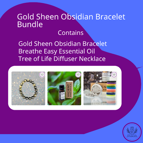Gold Sheen Obsidian Bracelet Bundle 47